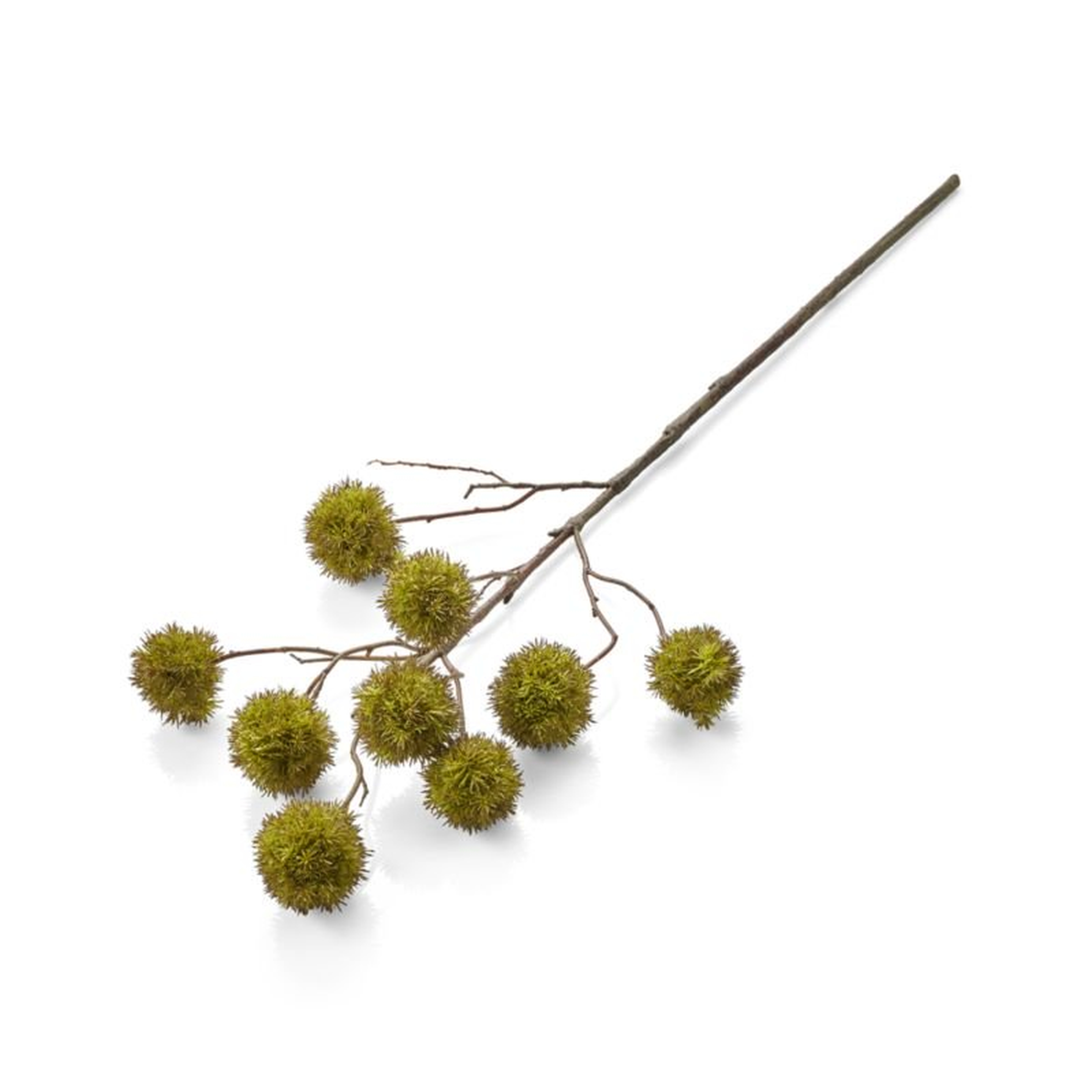 Faux Chestnut Branch - Crate and Barrel