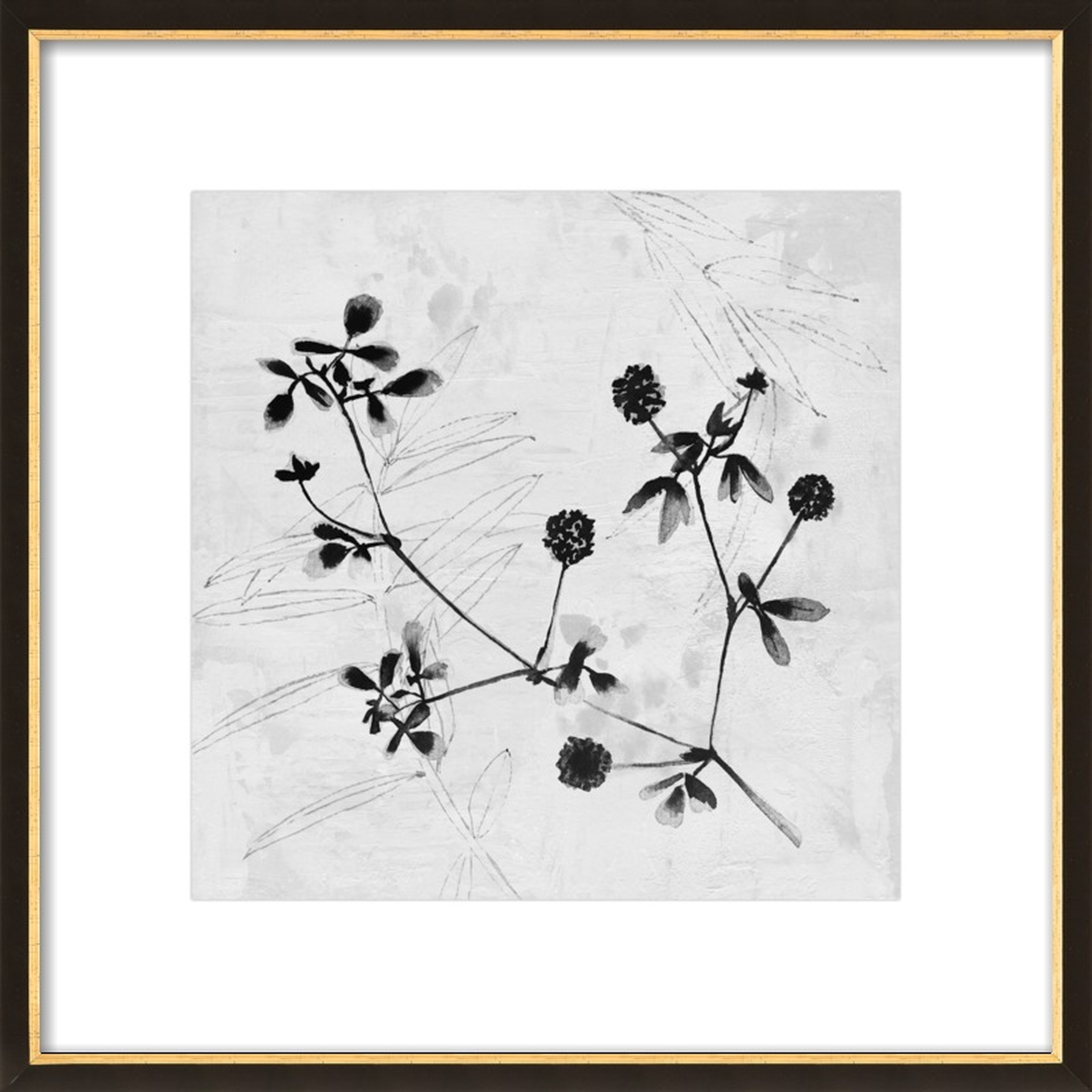 Field Flower // 16" x 16" // Black with Gold Wood Frame // With Matte - Artfully Walls