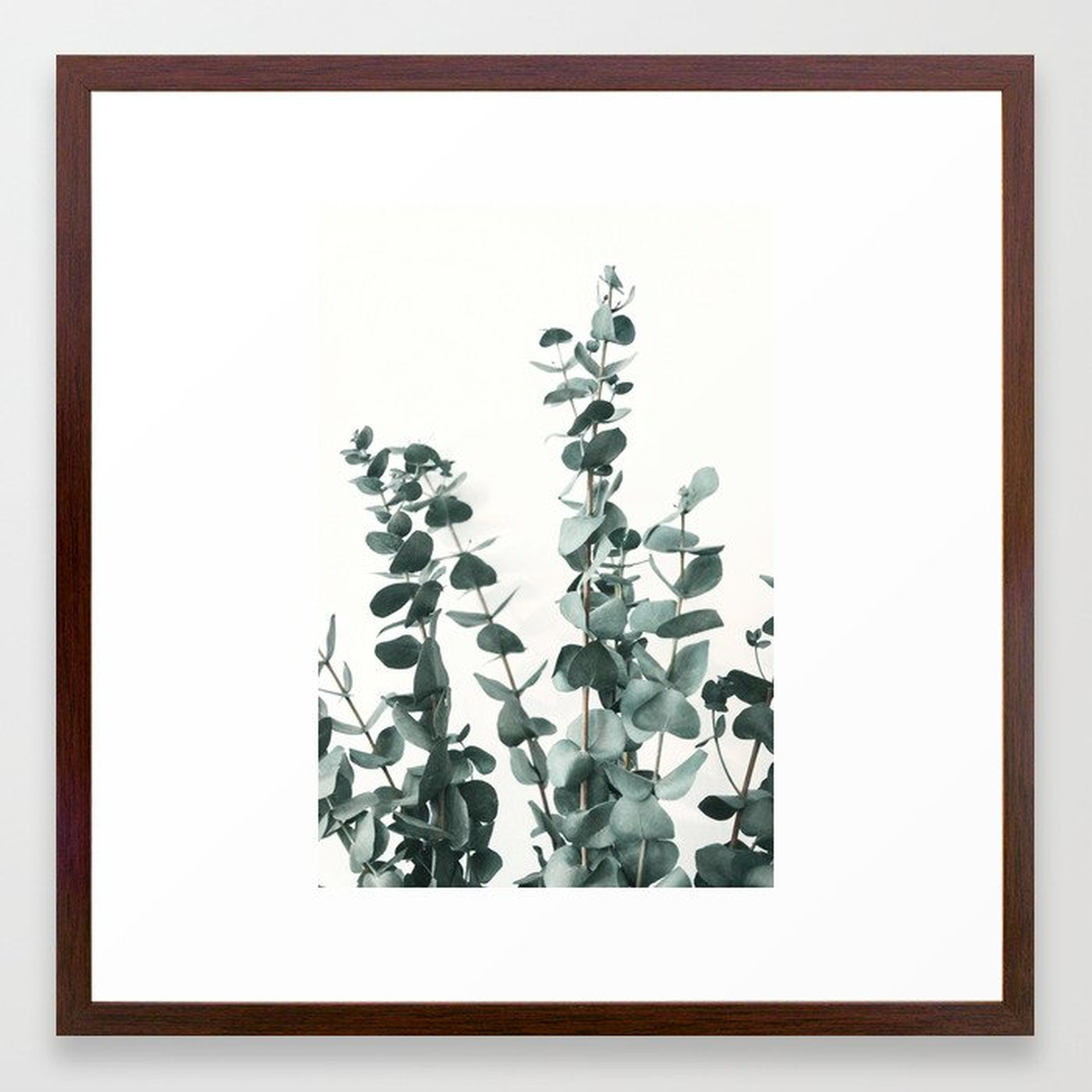 Eucalyptus Leaves Framed Art Print - 22 x 22 - Conservative Walnut Frame - Society6