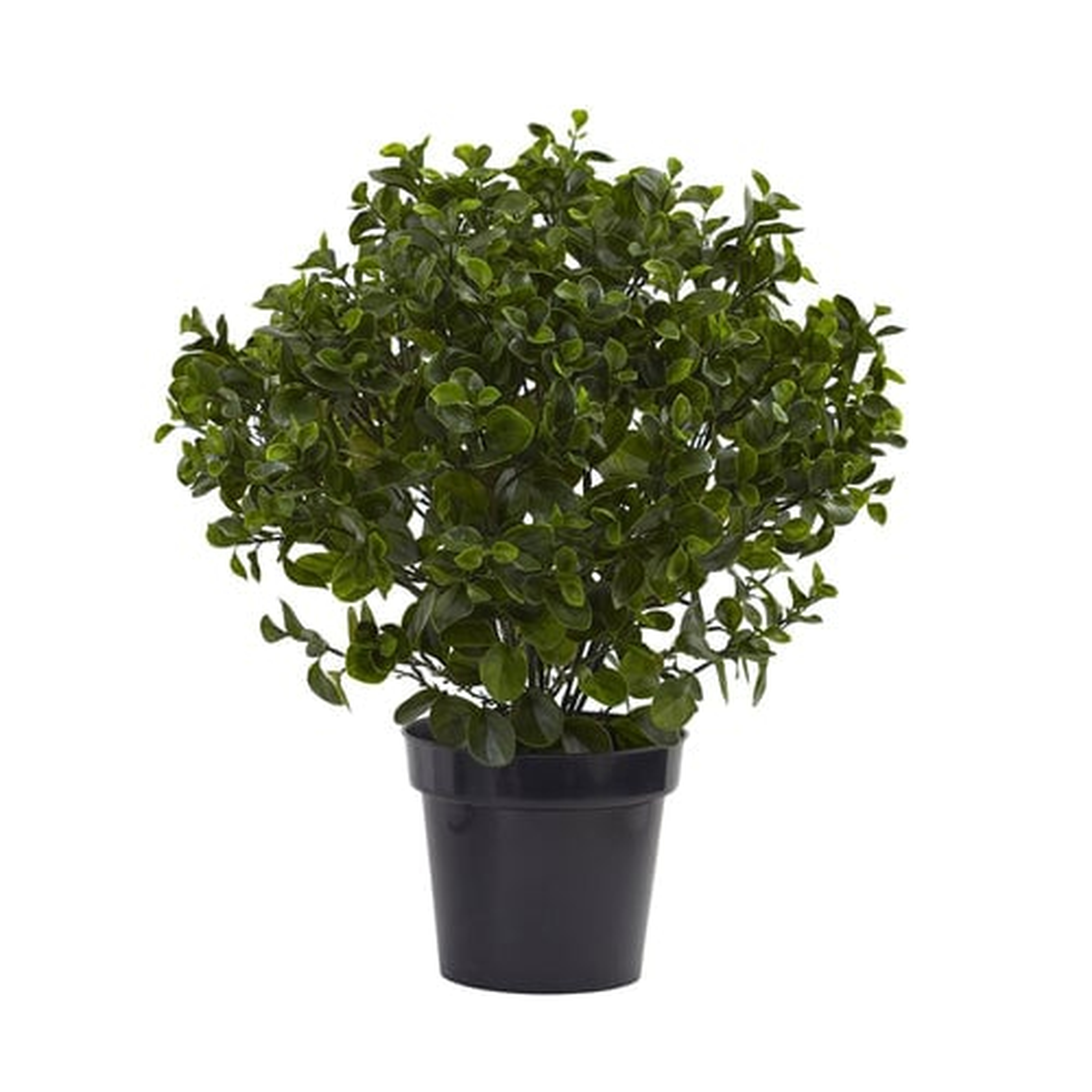 28” Peperomia Plant UV Resistant (Indoor/Outdoor) - Nearly Natural
