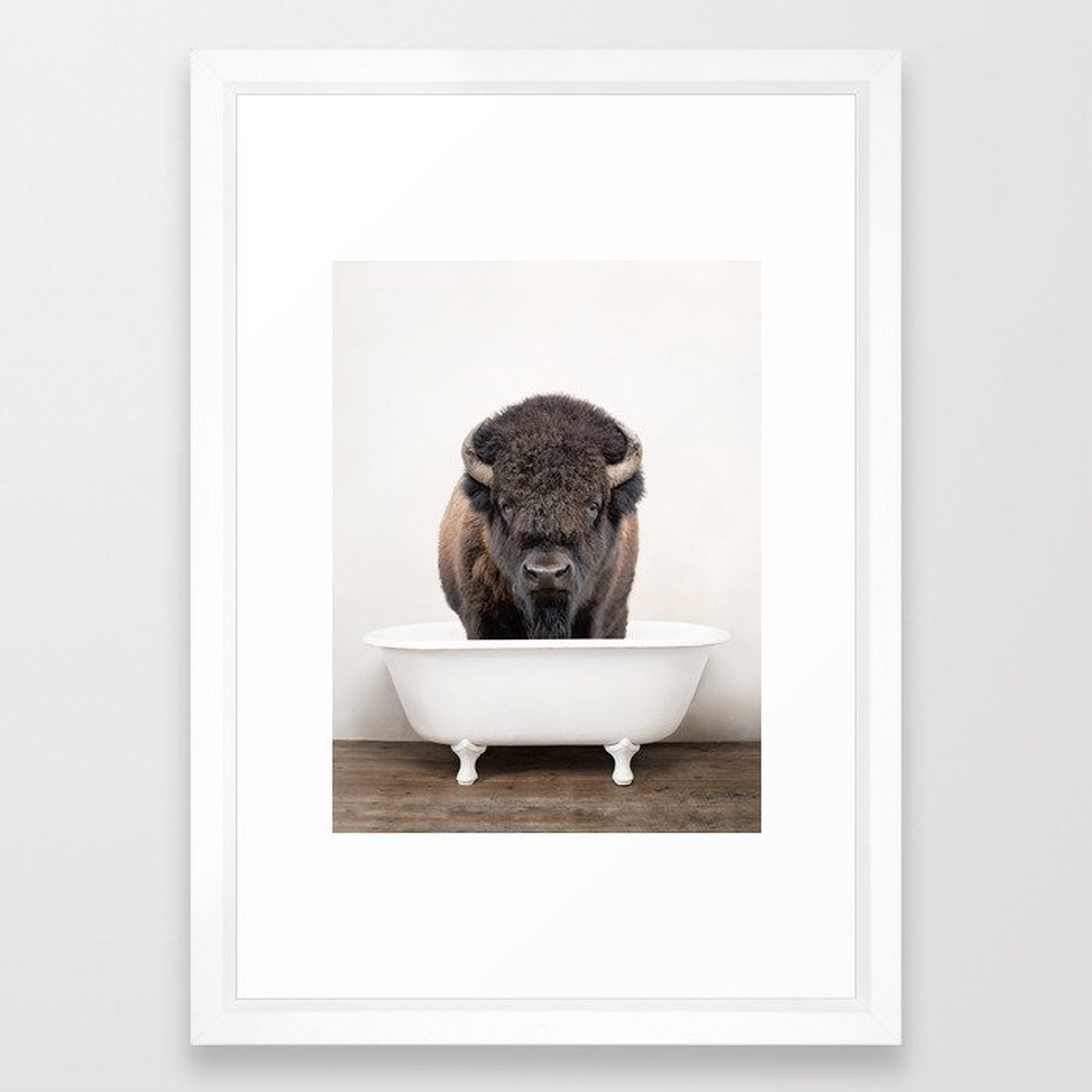 Buffalo in a Vintage Bathtub (c) Framed Art Print 15x21 Vector White - Society6