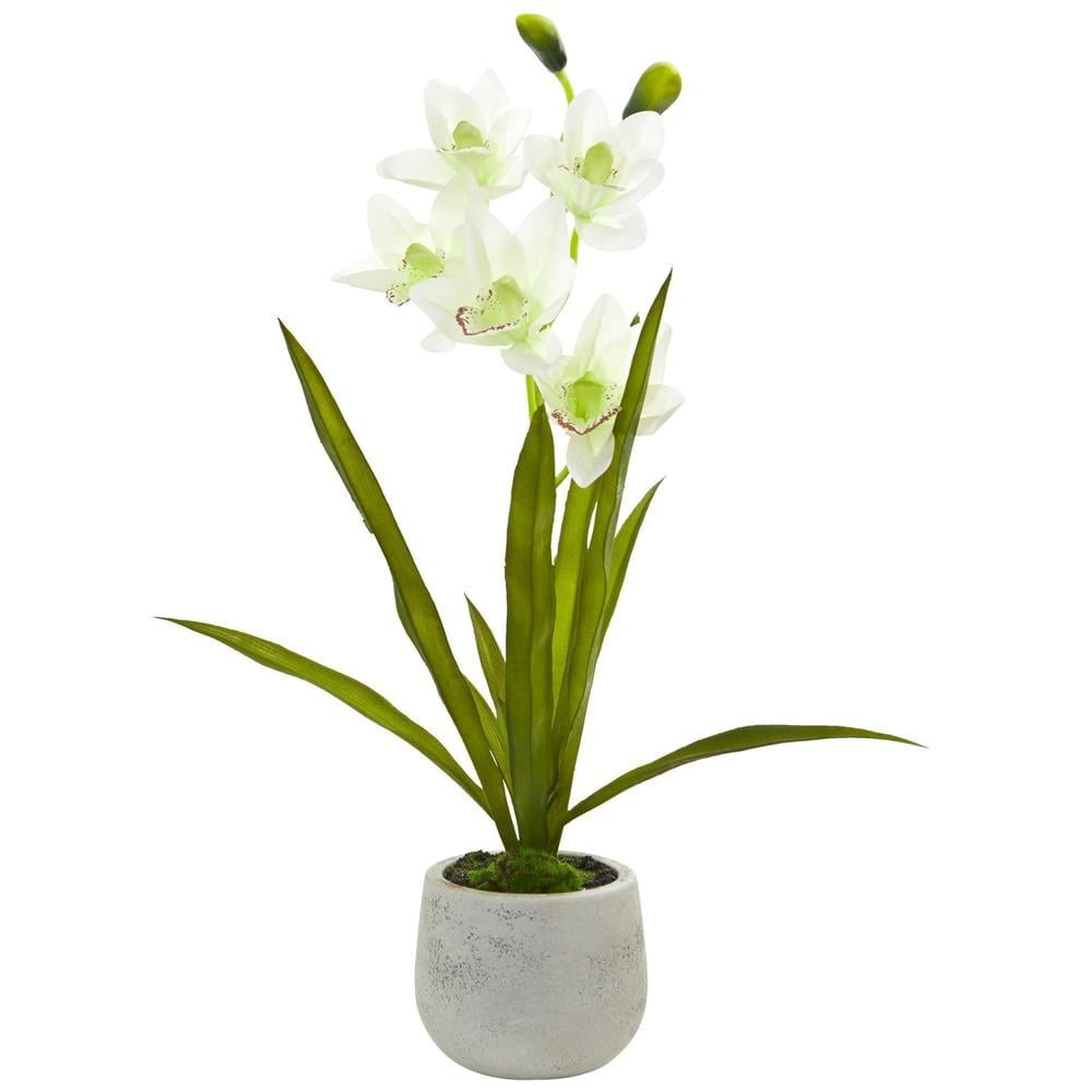 Faux Cymbidium Orchid Arrangement in Vase - Fiddle + Bloom