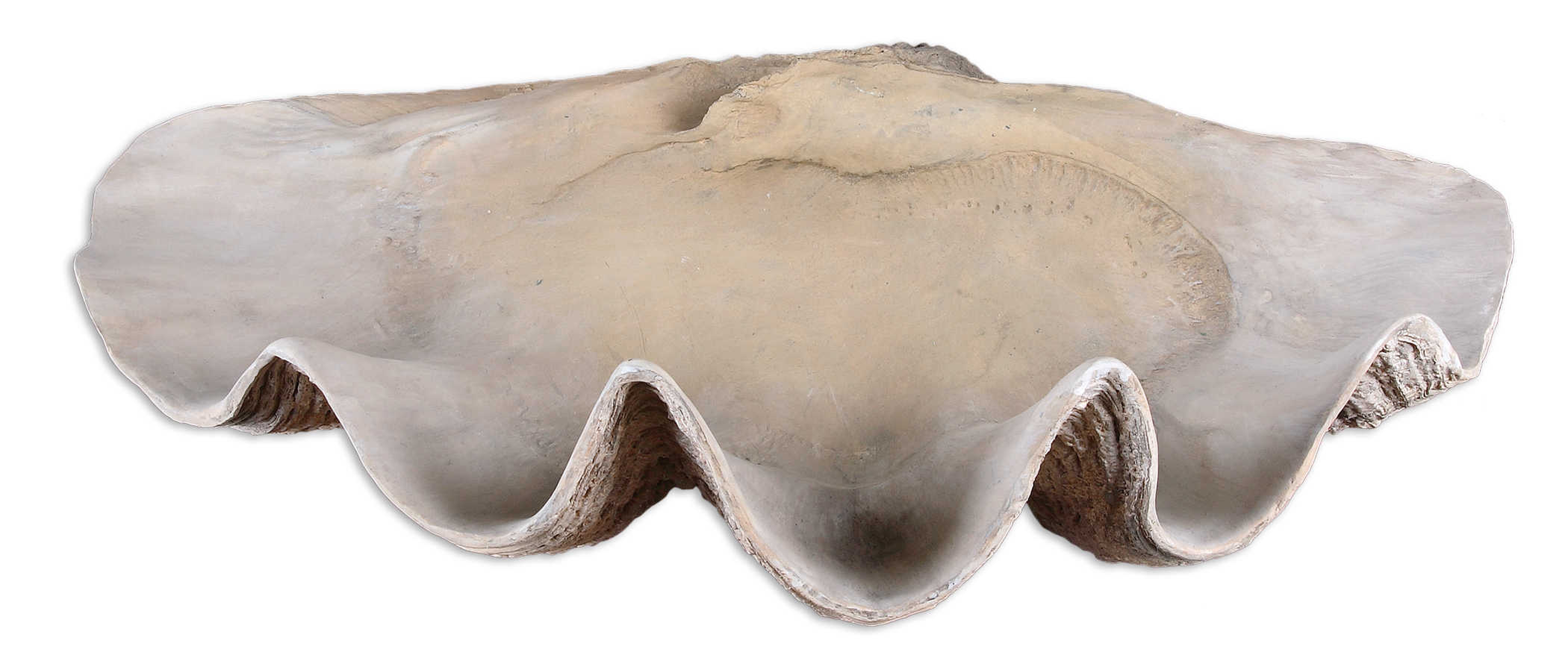 Clam Shell Bowl - Uttermost