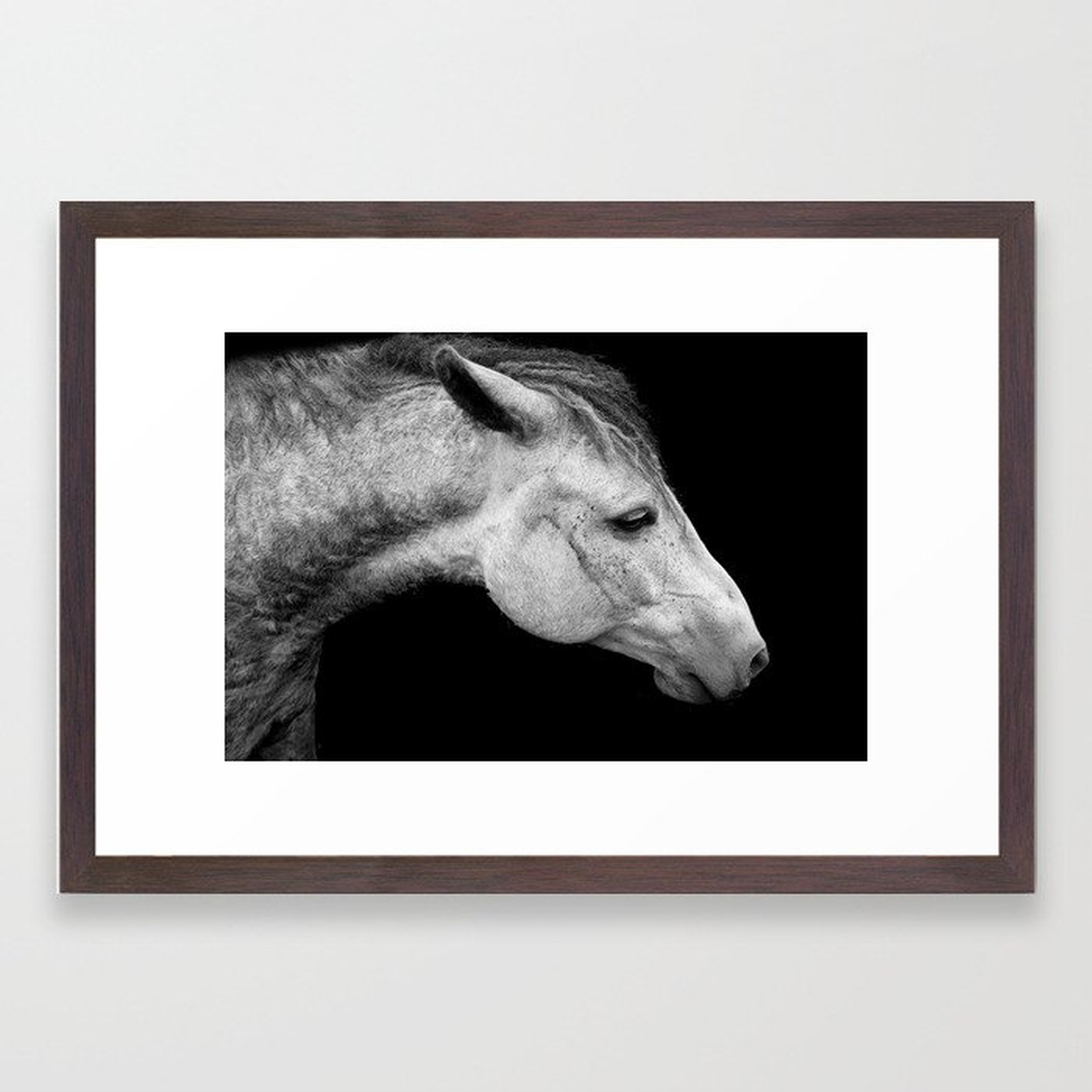 Casper | Horse Photography | Animal Art | Minimalism | Nature | black-and-white Framed Art Print - Society6