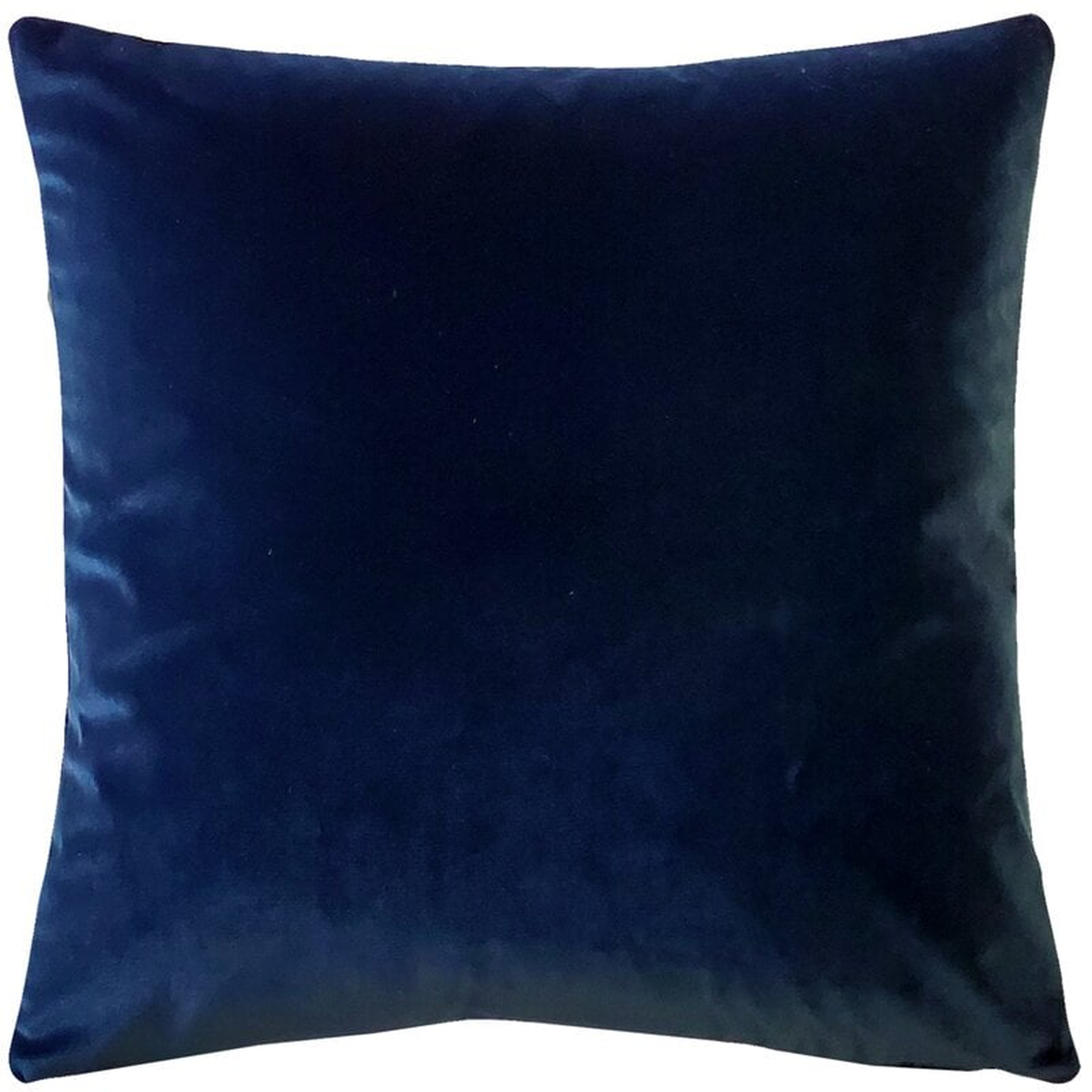 Velvet Throw Pillow - Insert included - Wayfair