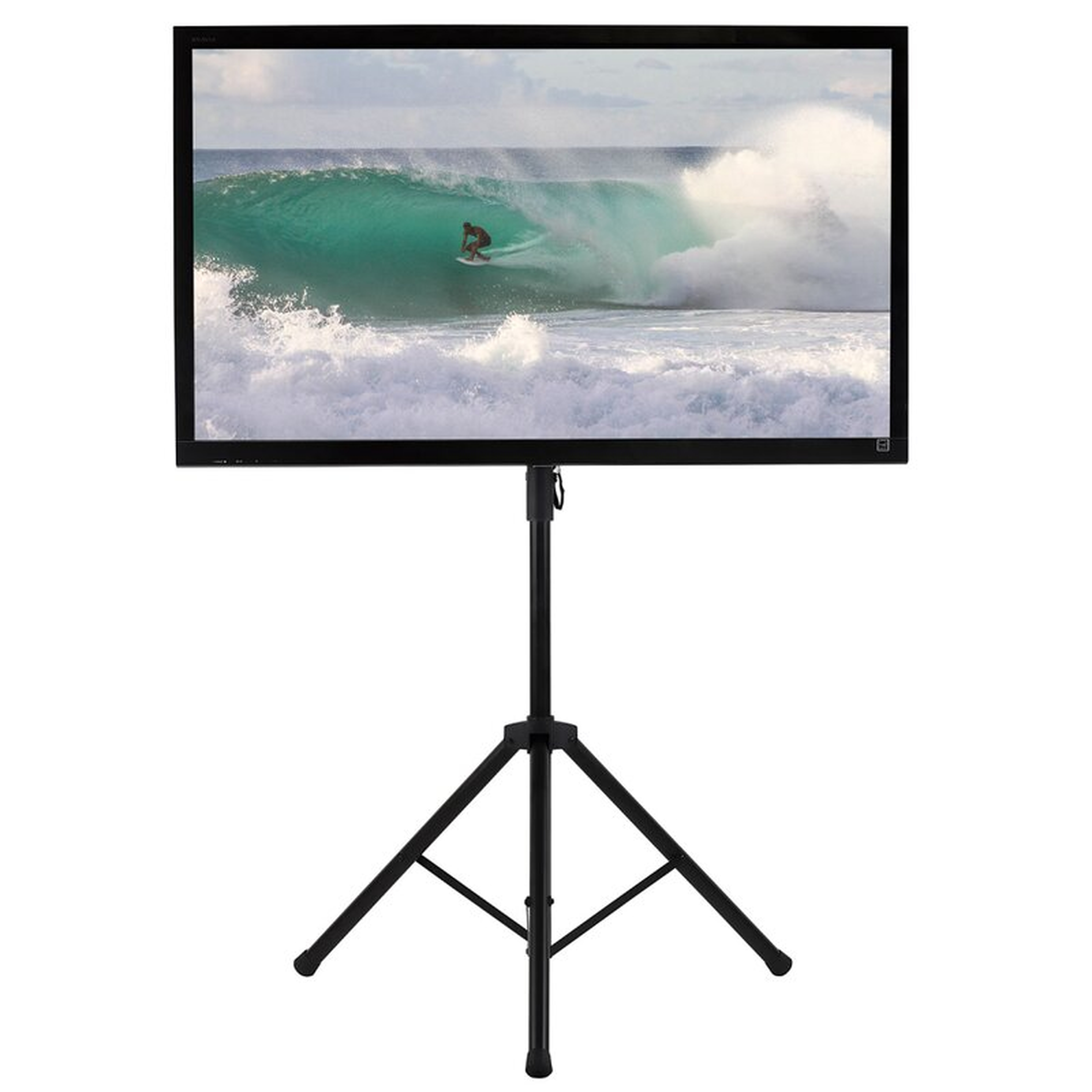 Hicks Symple Stuff Black Motorized Floor Stand Mount for Screens Holds up to 77 Lb. lbs - Wayfair