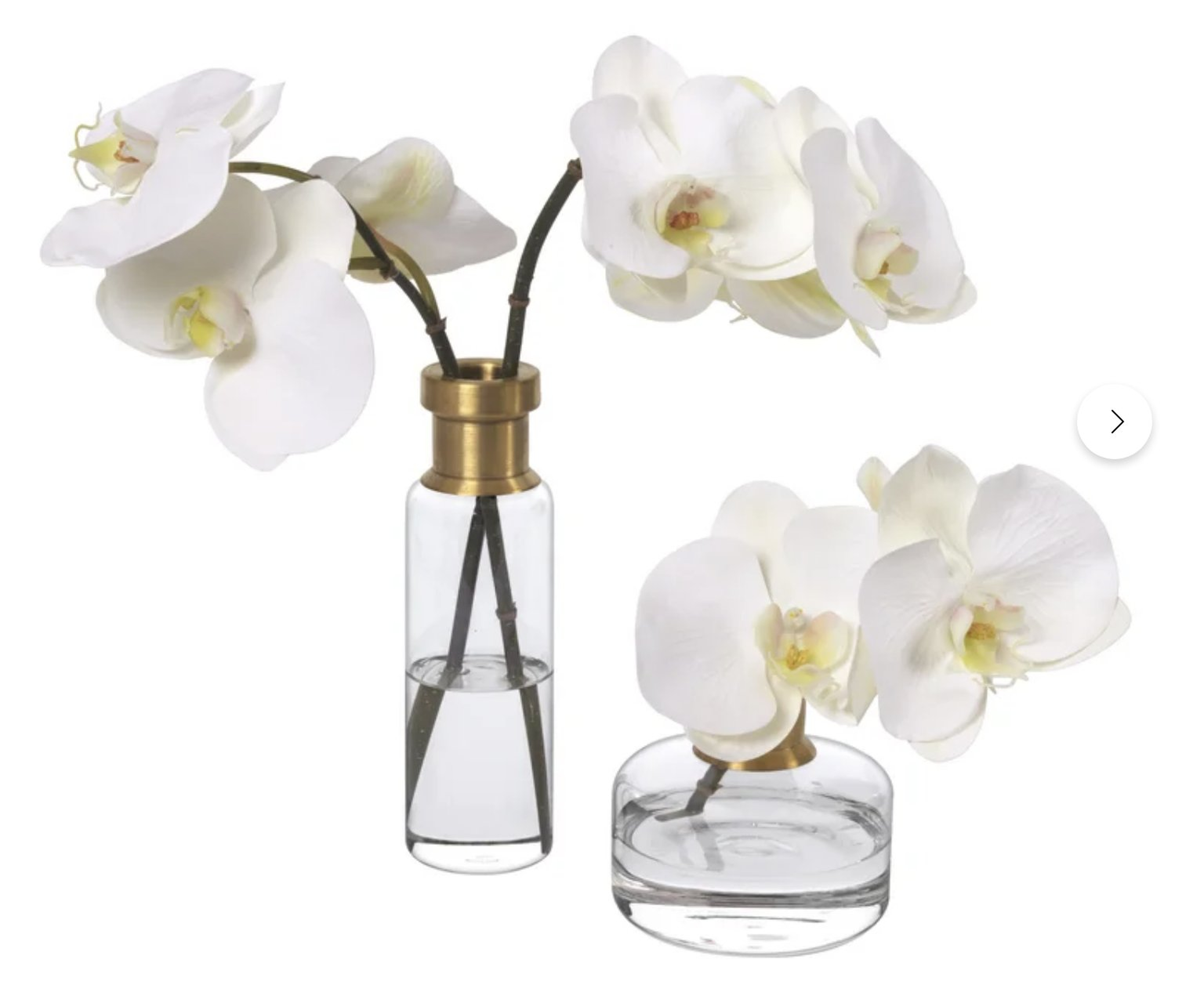 Diane James Home Phalaenopsis Orchids In Glass Bud Vases / Set Of 2 - Perigold