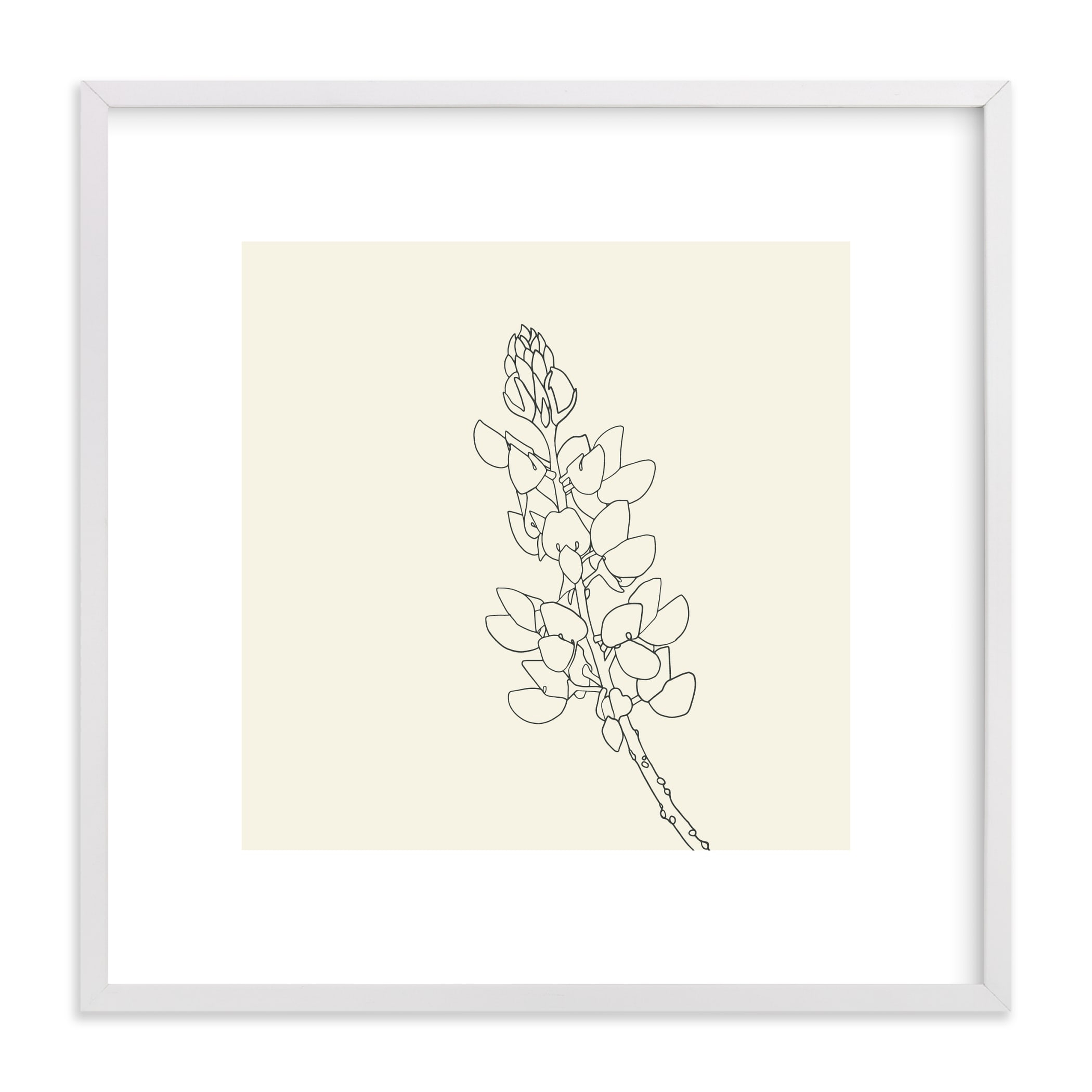 Lupine  / White Wood Frame / 17.3" - Minted