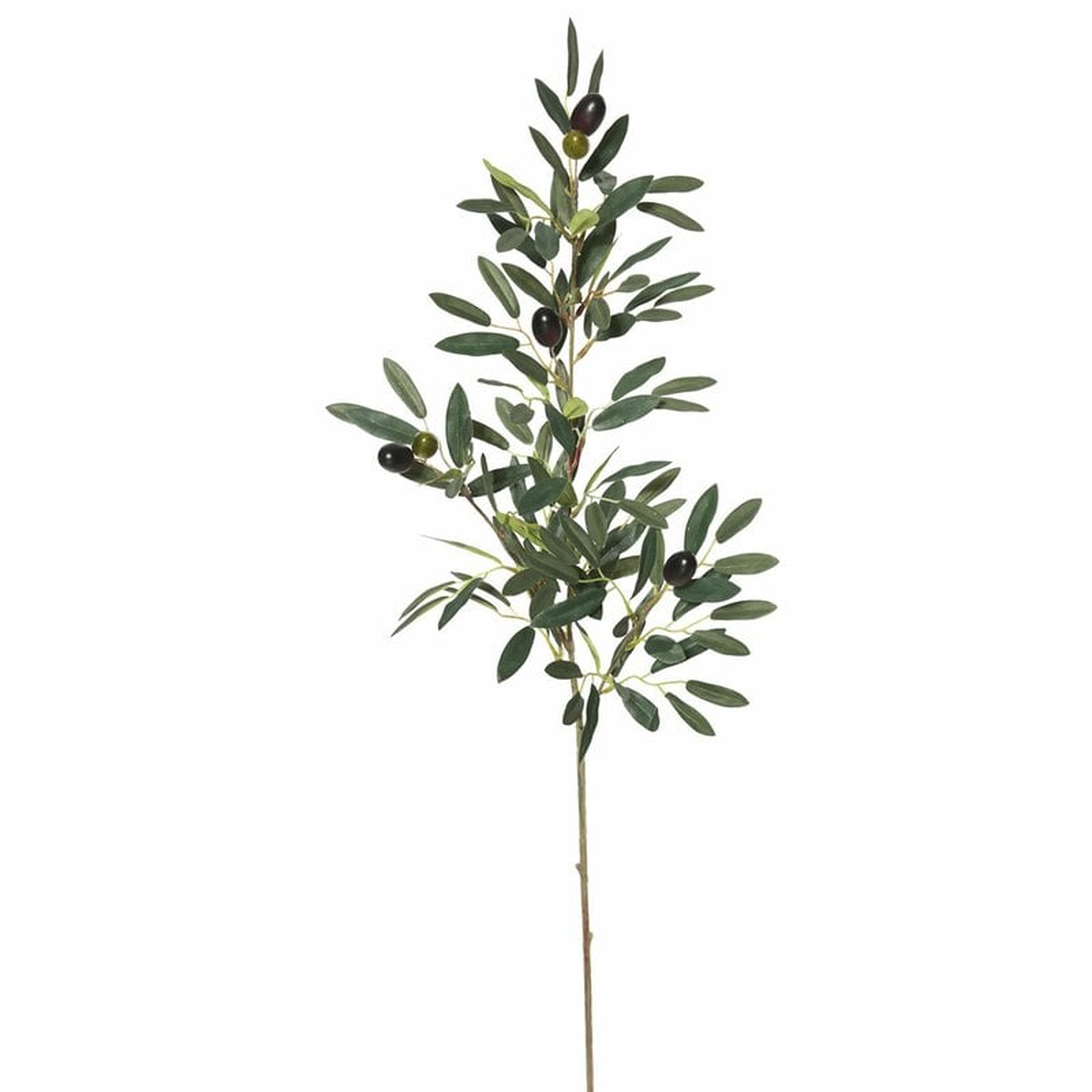 3 Piece Olive Branch (Set of 3) - Wayfair