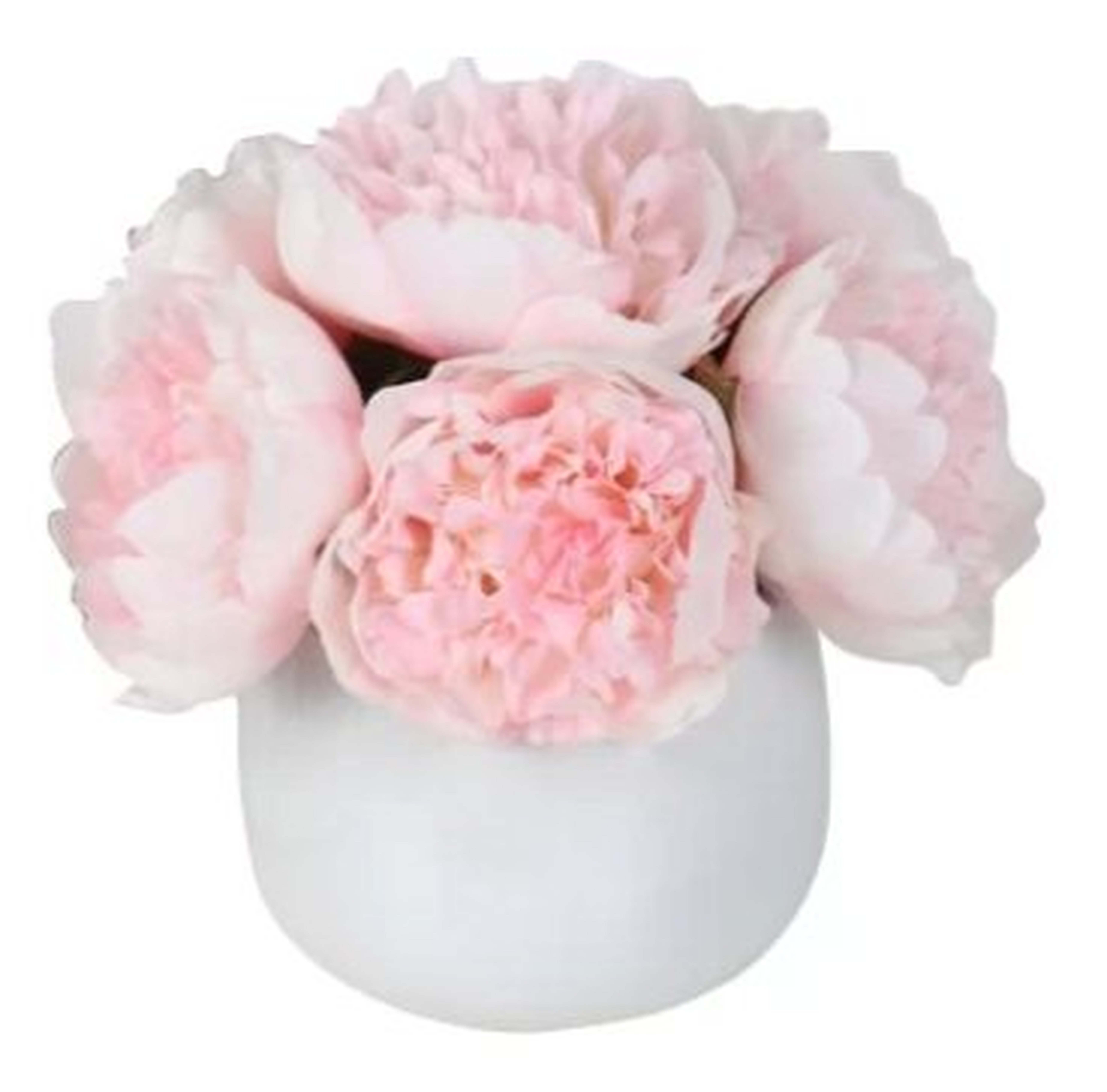 Peony Floral Arrangement in Vase - Wayfair