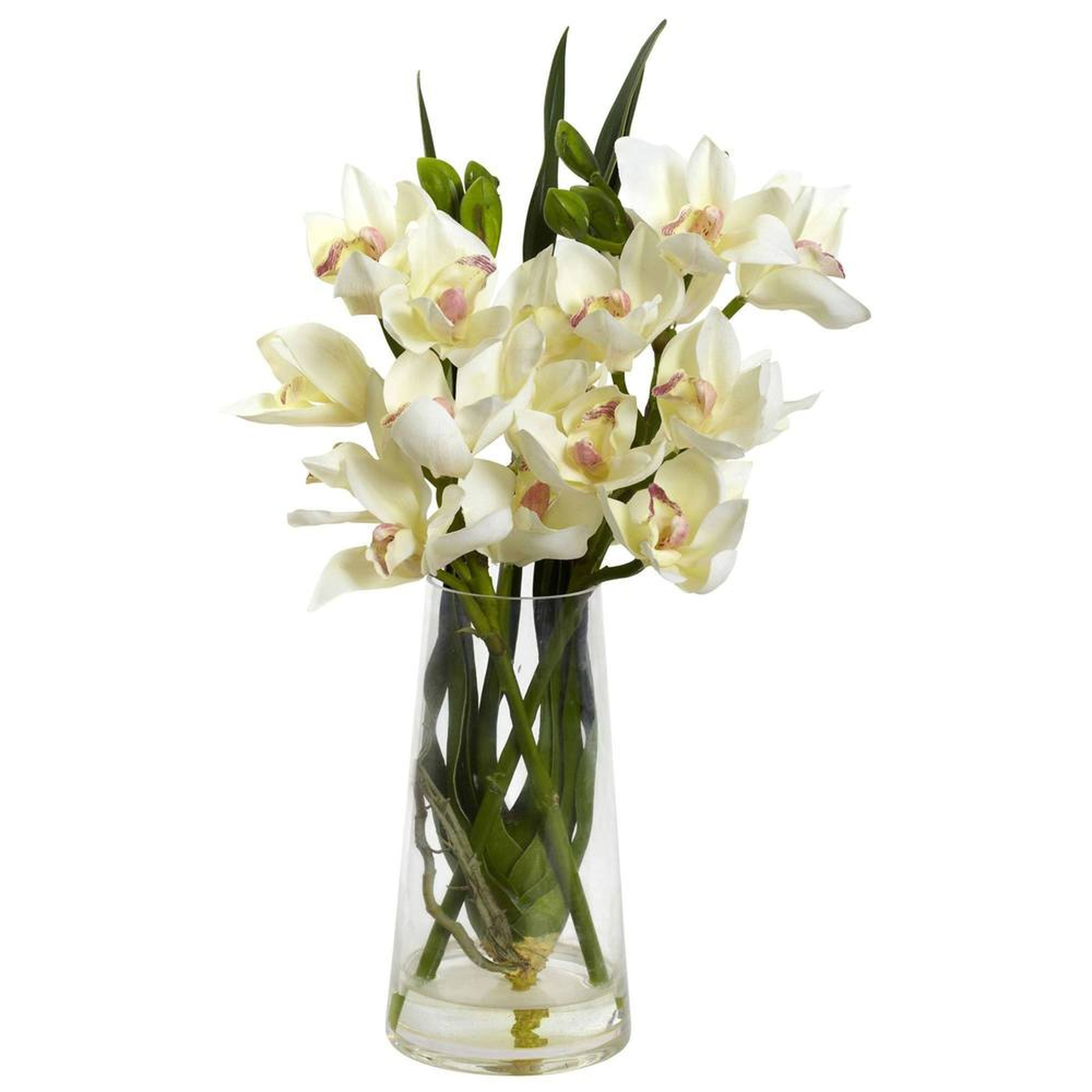 Cymbidium Orchid w/Vase - Fiddle + Bloom