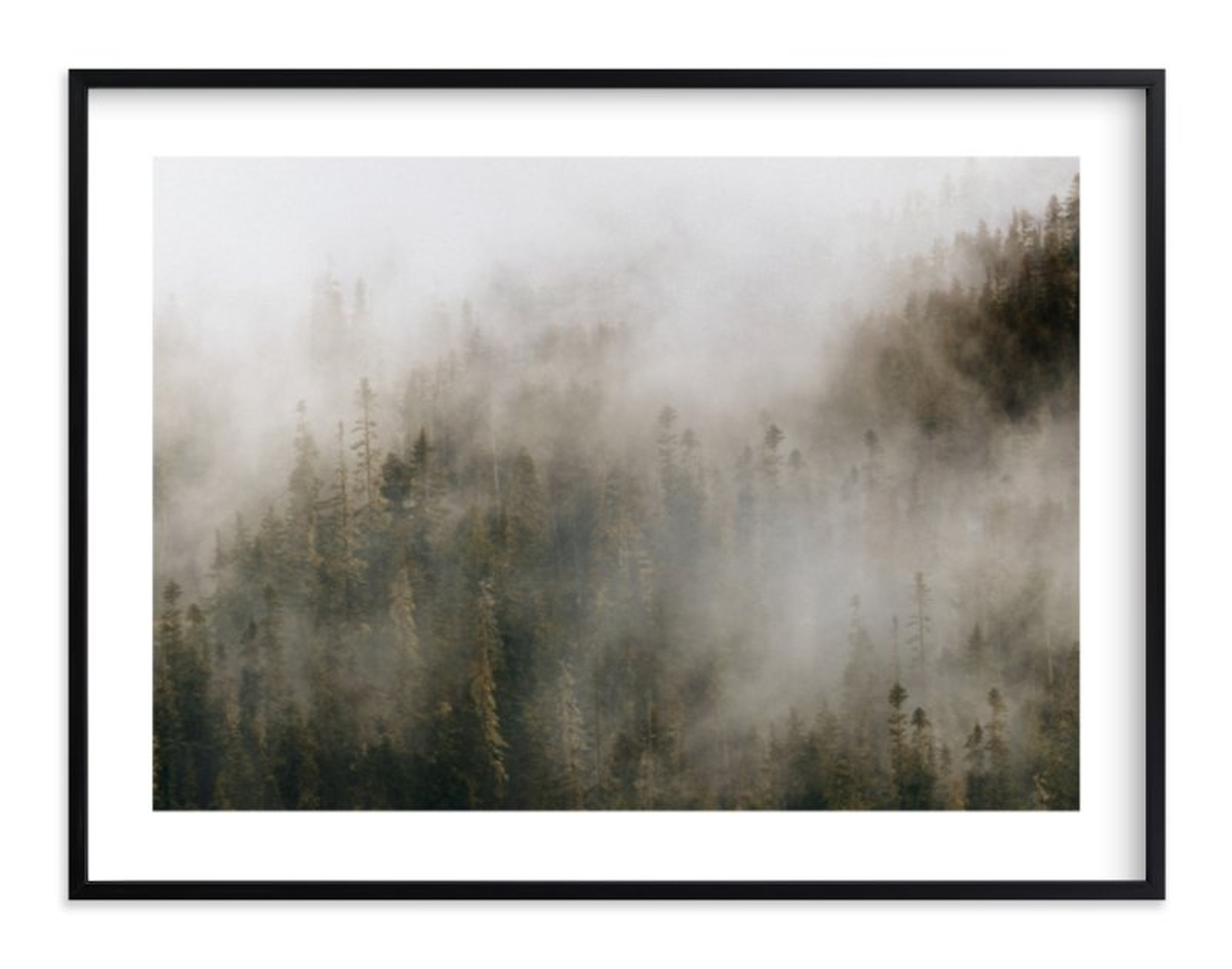 pacific north fog - Minted