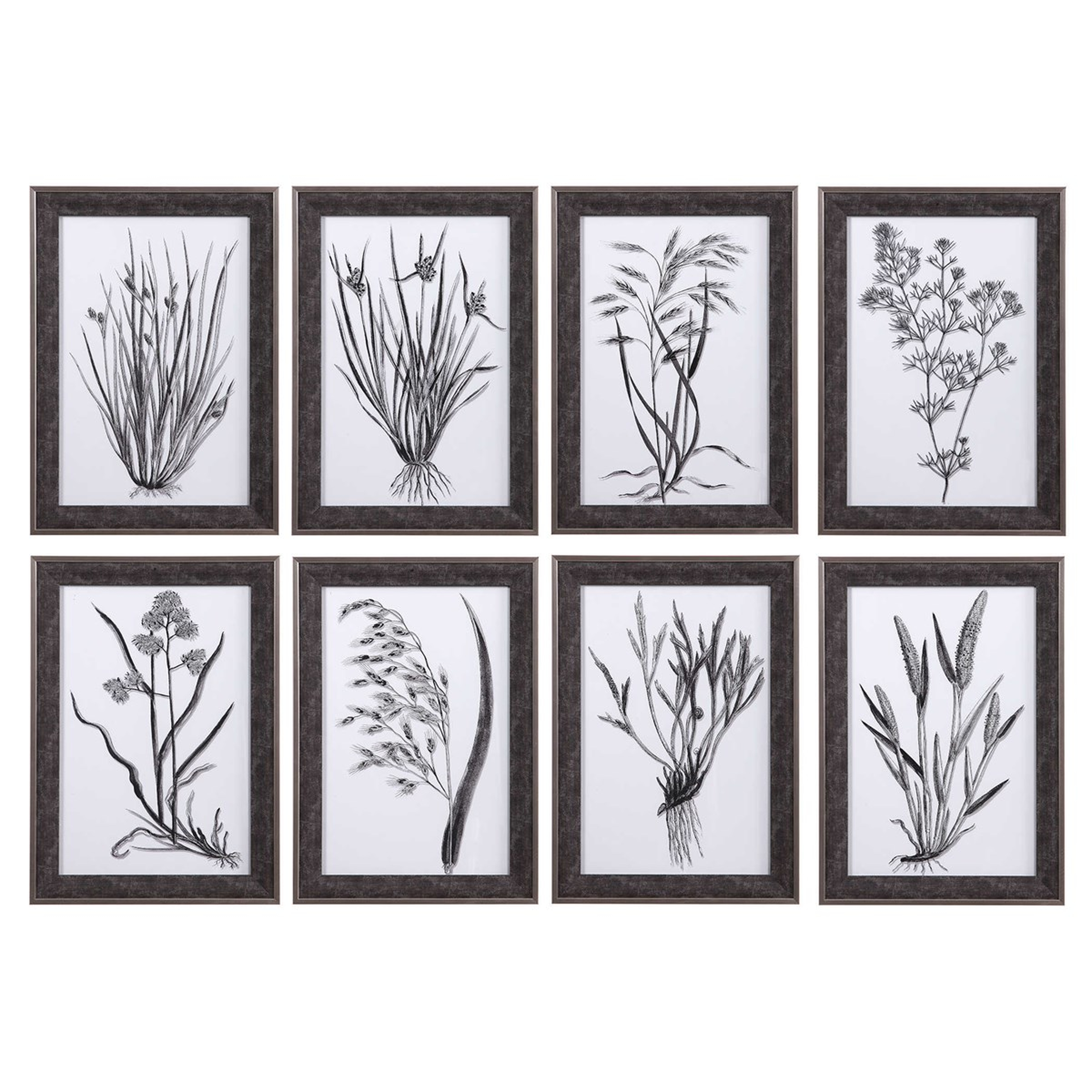 Classic Botany Framed Prints, Set of 8 - Hudsonhill Foundry