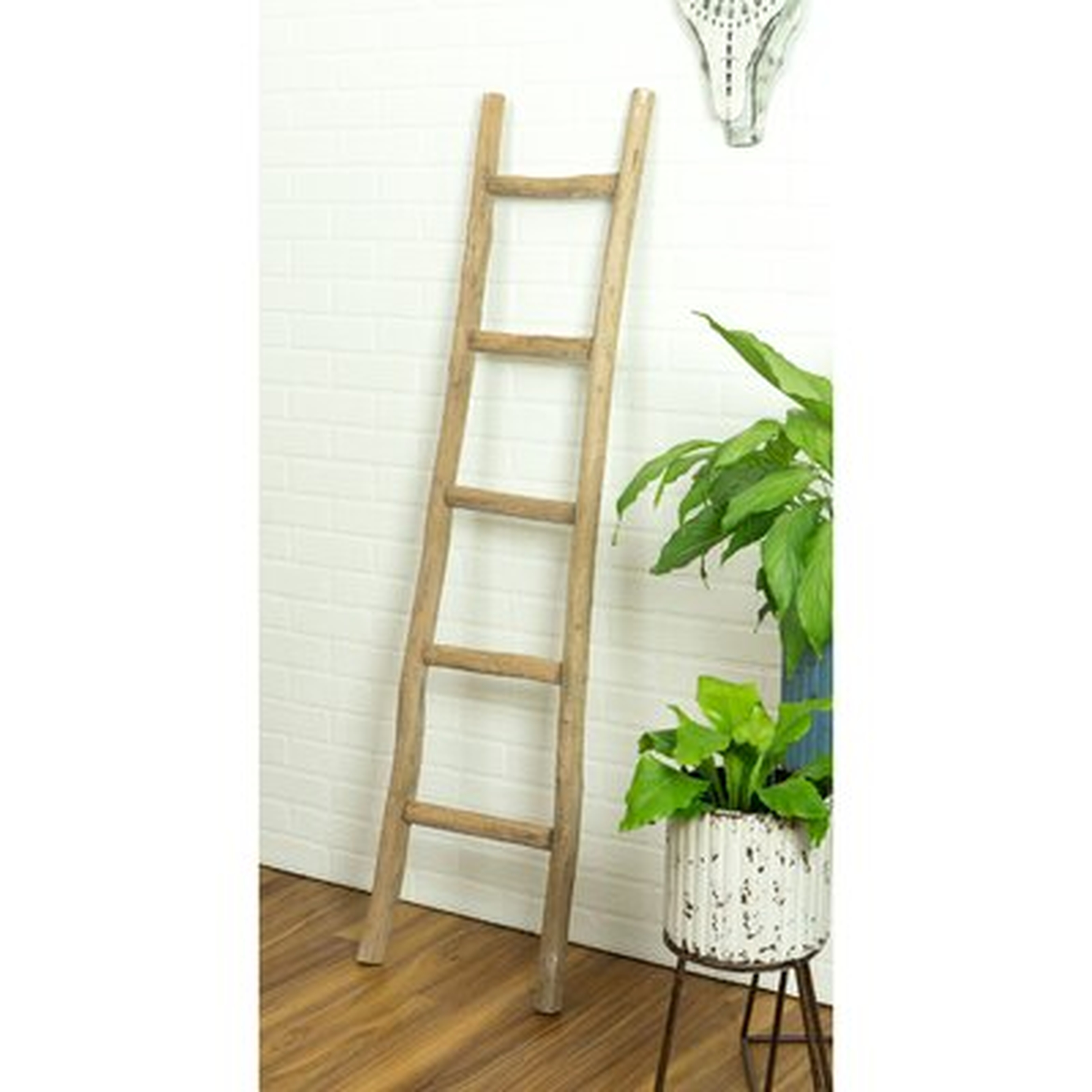 5 ft Blanket Ladder - Birch Lane