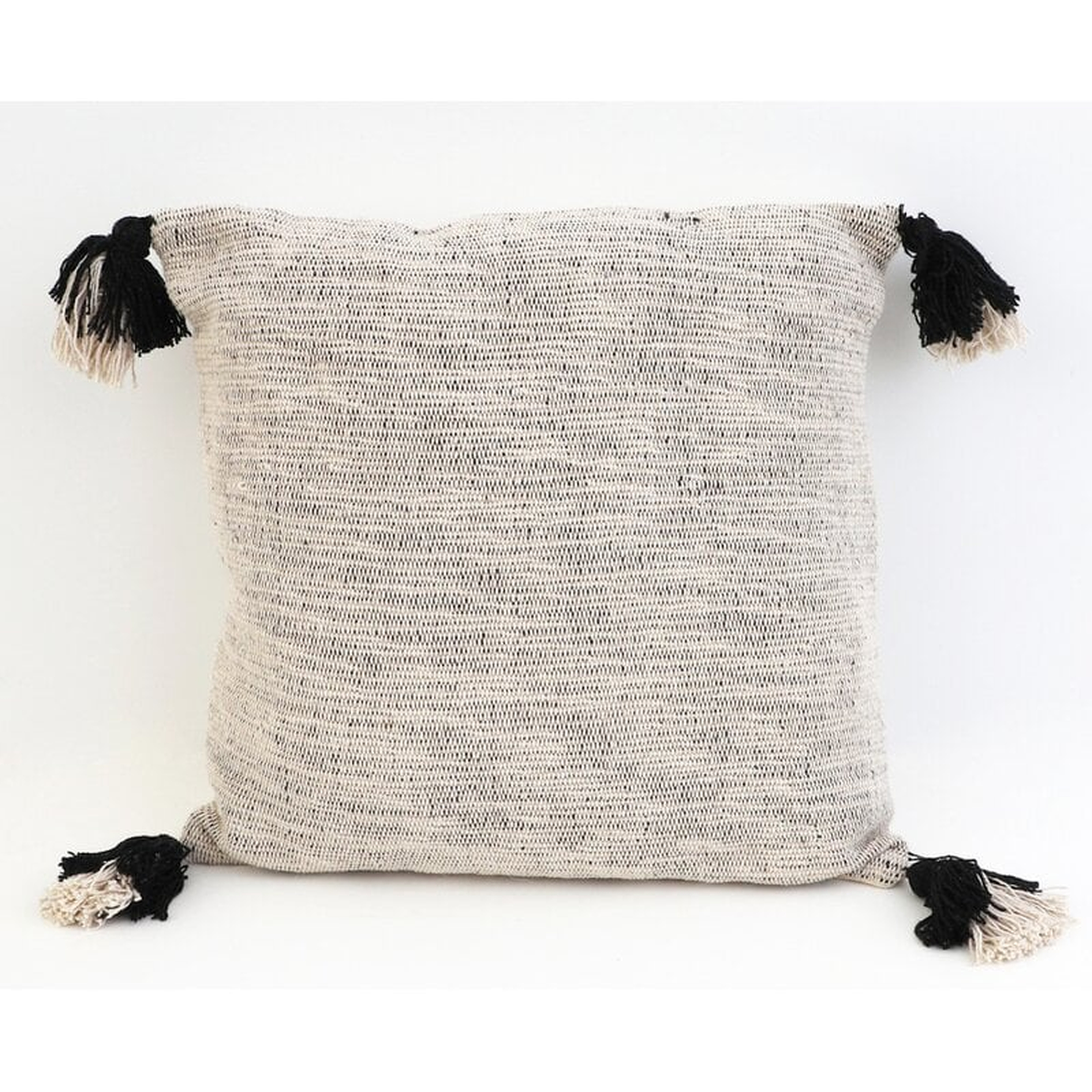 Gympie Square Pillow Cover and Insert - AllModern