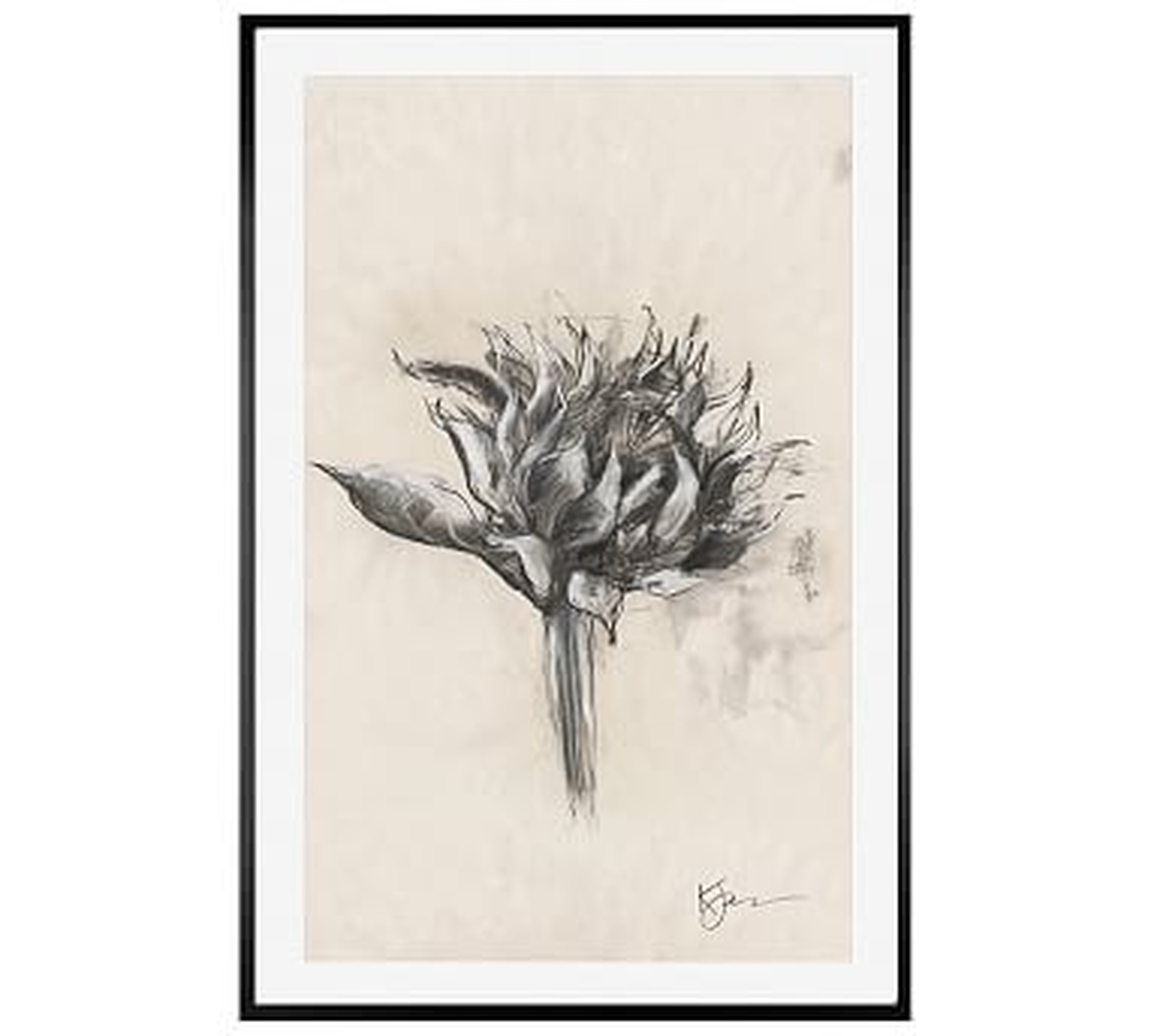 Charcoal Sunflower Sketch, Single Bloom, 28" X 42" Wood Gallery, White, No Mat - Pottery Barn