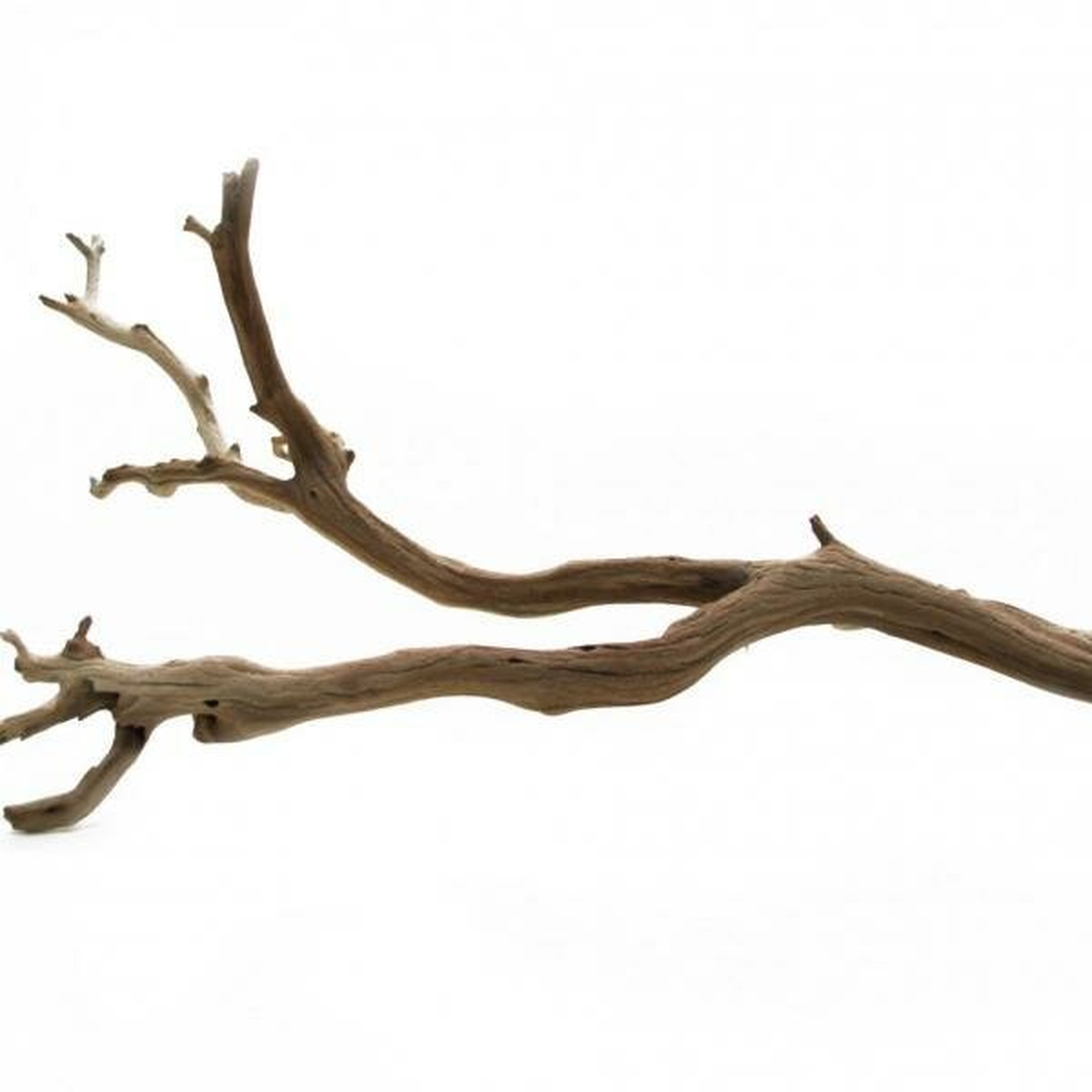 Decorative Natural California Driftwood Branch - Wayfair