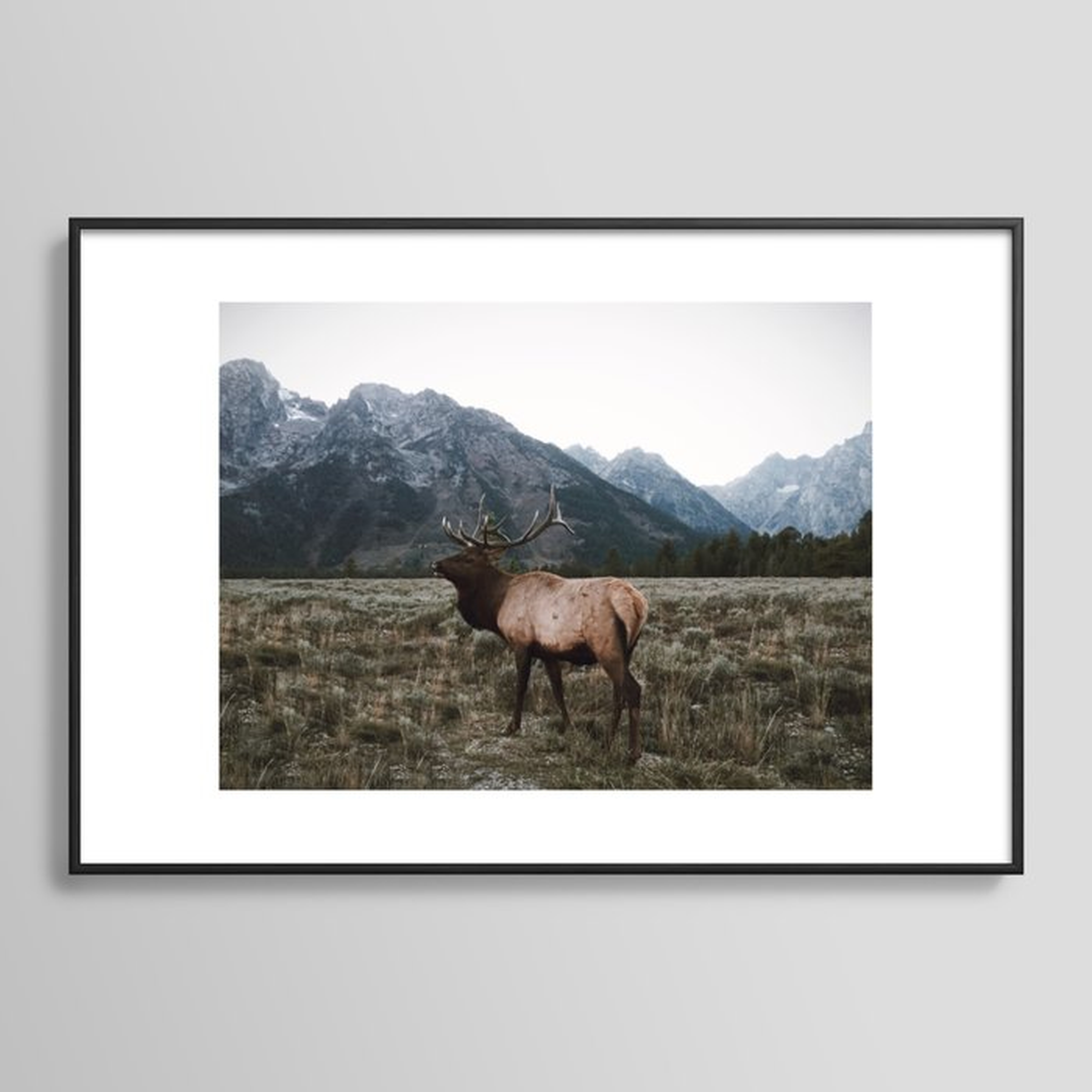 Elk Framed Art Print // Small 13"x19" // BLACK METAL FRAME - Society6