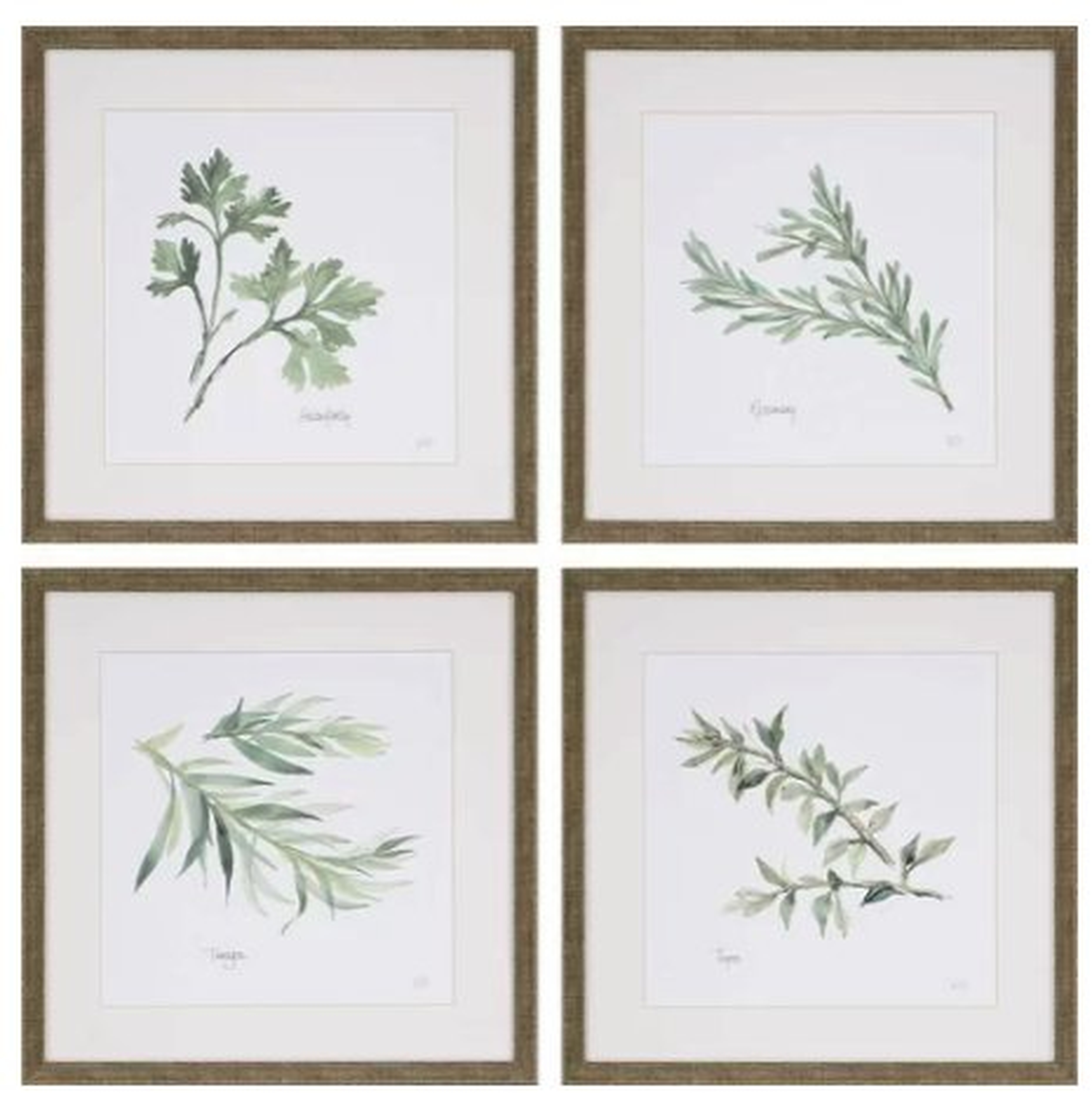 Herbs by Paschke - 4 Piece Picture Frame Graphic Art Print Set on Paper - Birch Lane