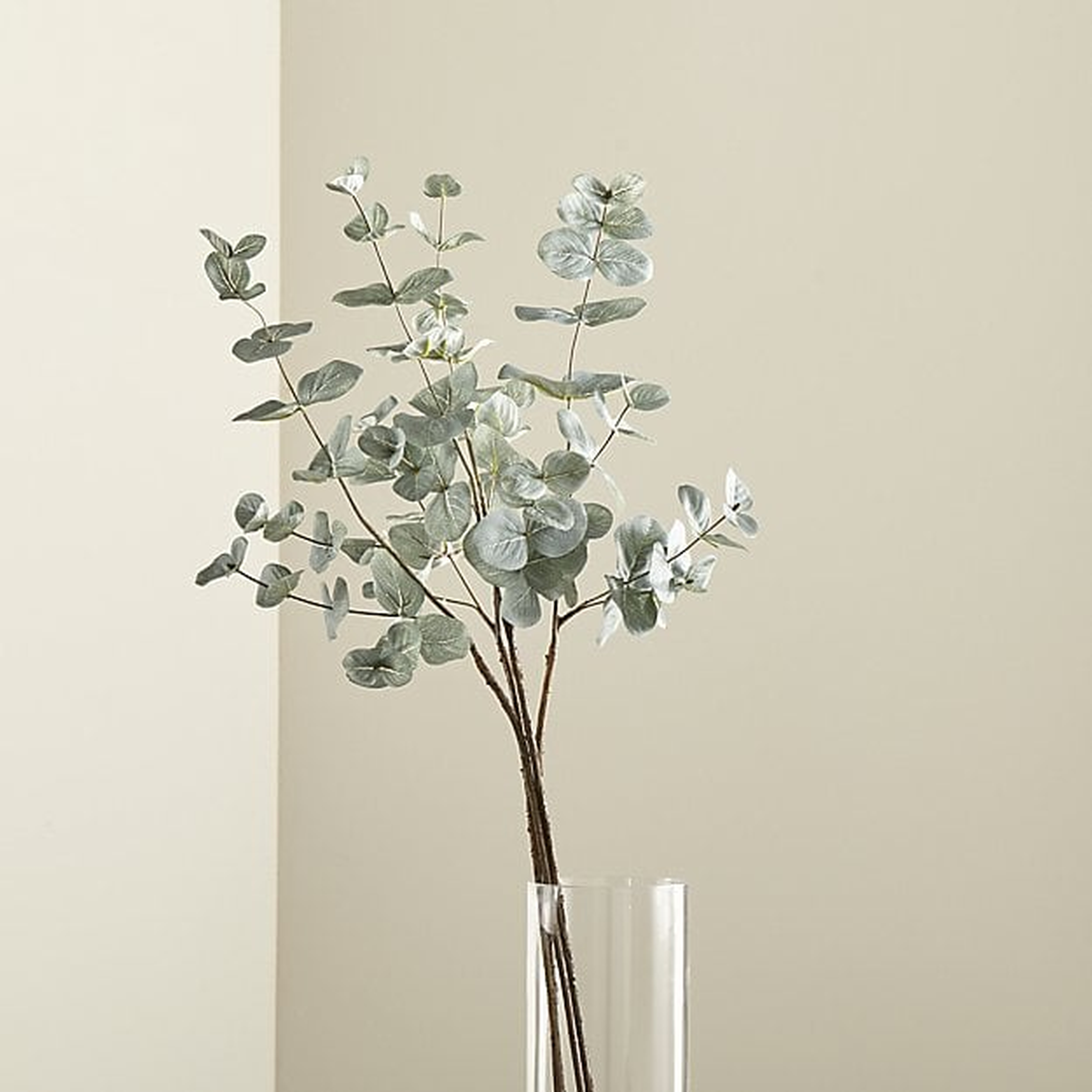 Faux Eucalyptus Bunch - Crate and Barrel