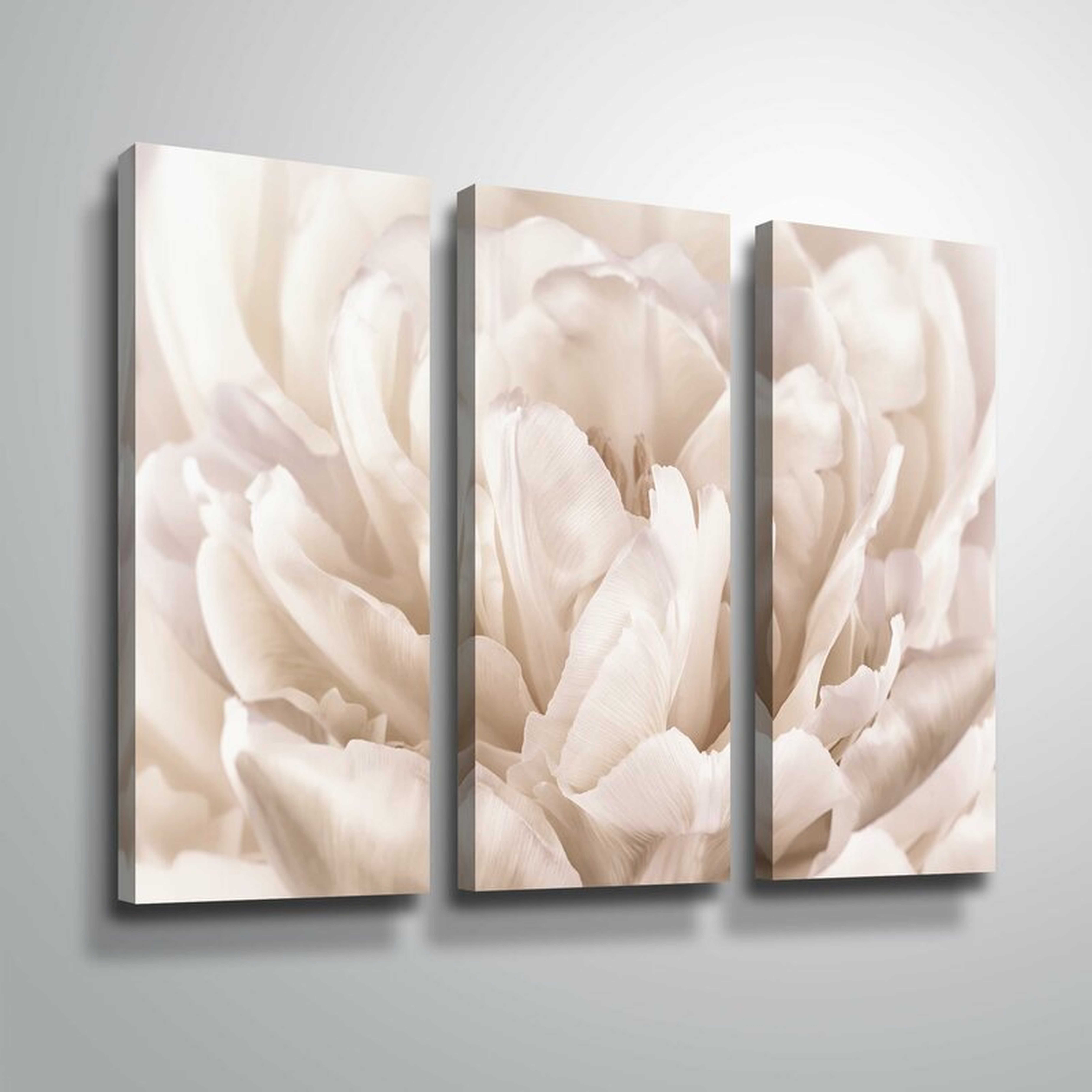 36" H x 54" W x 2" D 'Double White Tulip' Photographic Print Multi-Piece Image on Canvas - Wayfair