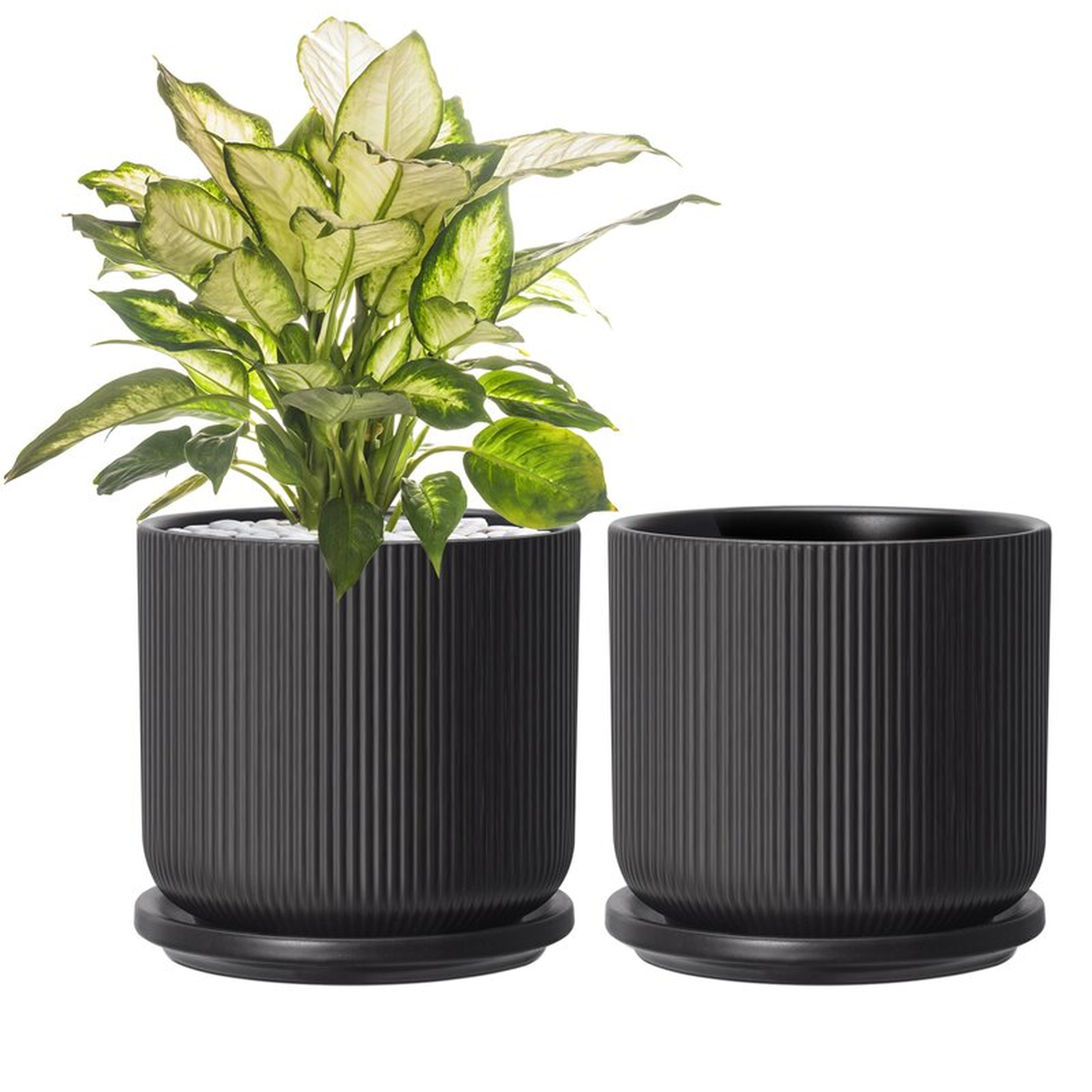 Color 2 - Pieces Ceramic Pot Planter (Set of 2) - Wayfair