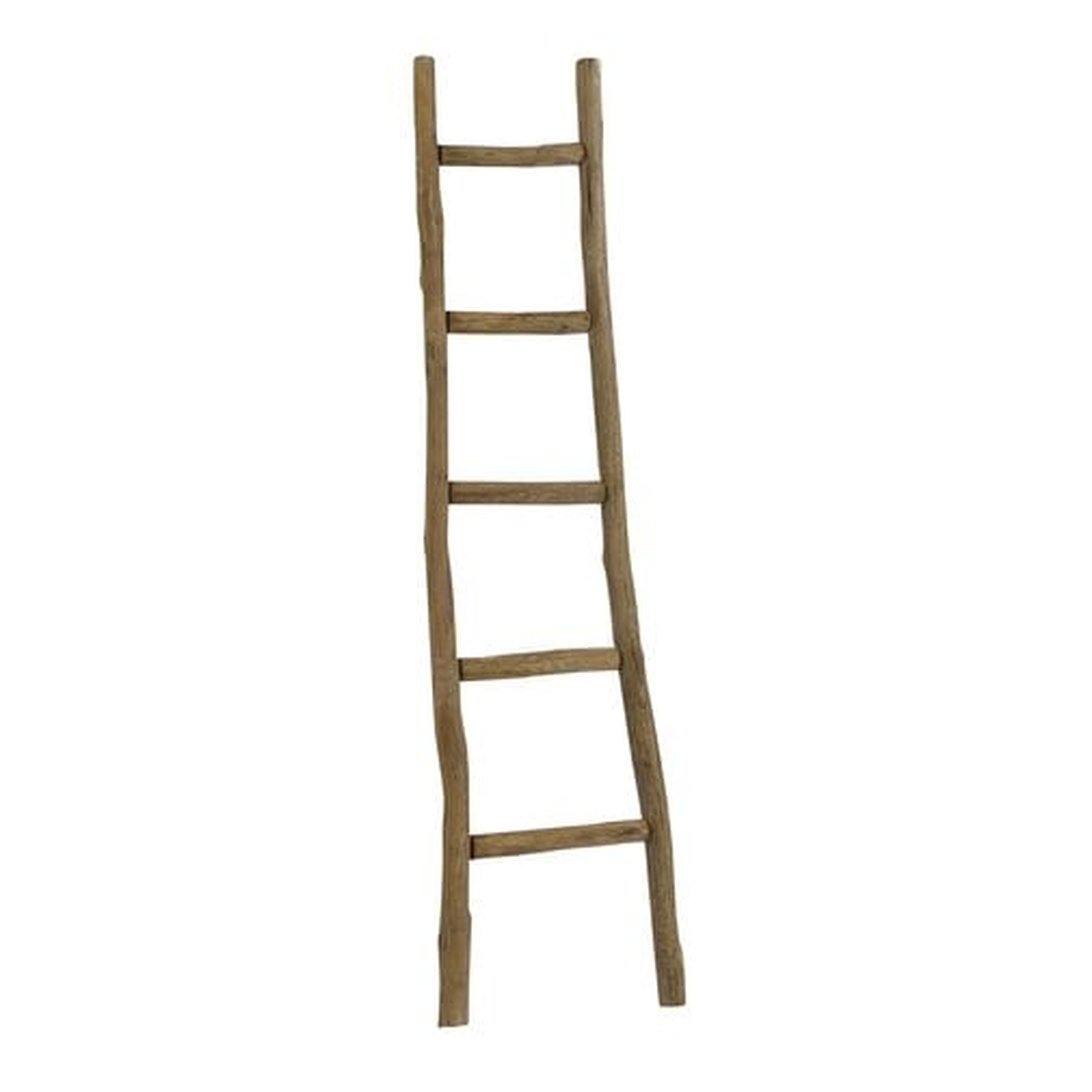 5 ft Blanket Ladder - Birch Lane