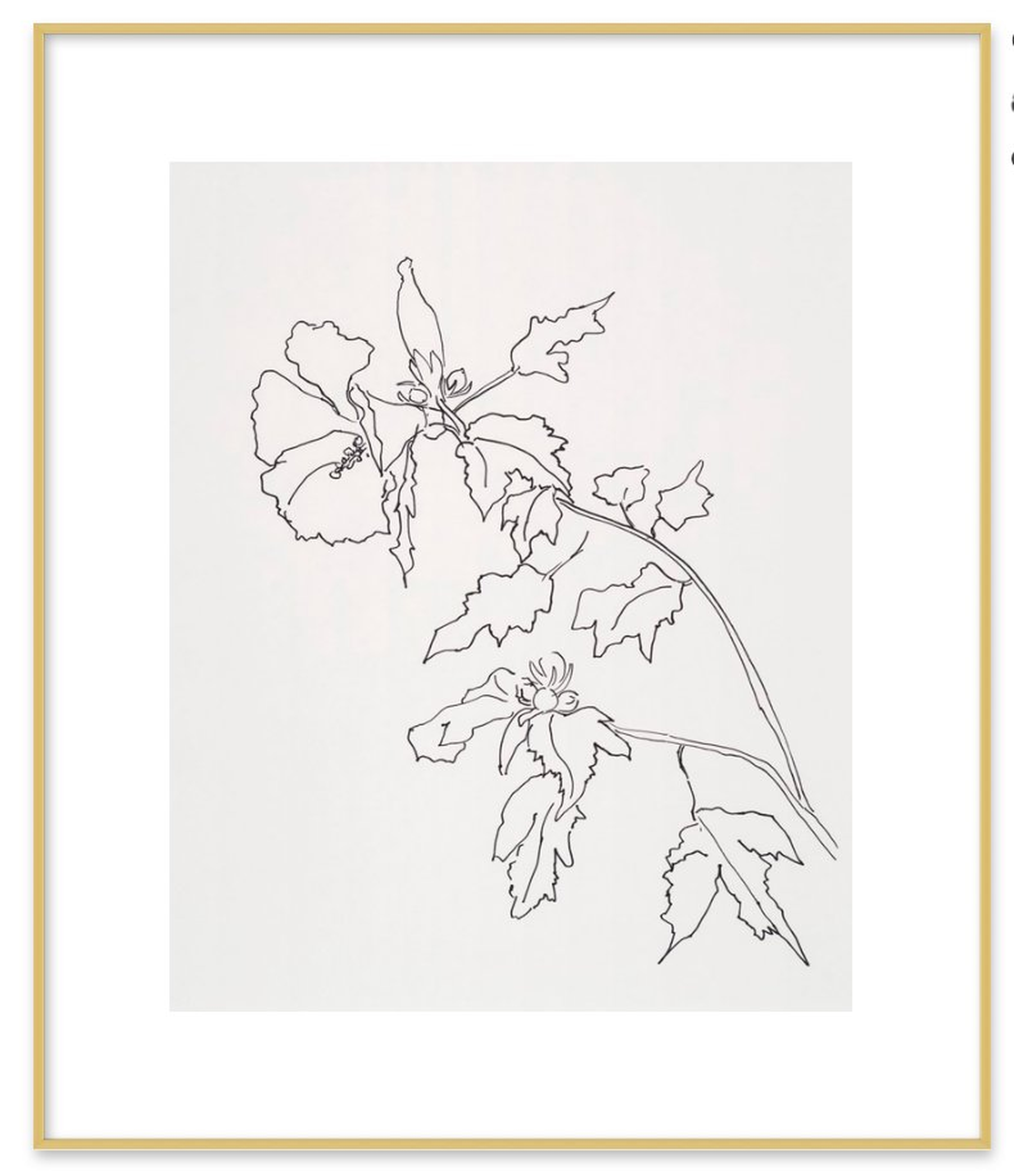 Rose of Sharon Flower, Gold Metal Frame, 20" x 24" - Artfully Walls