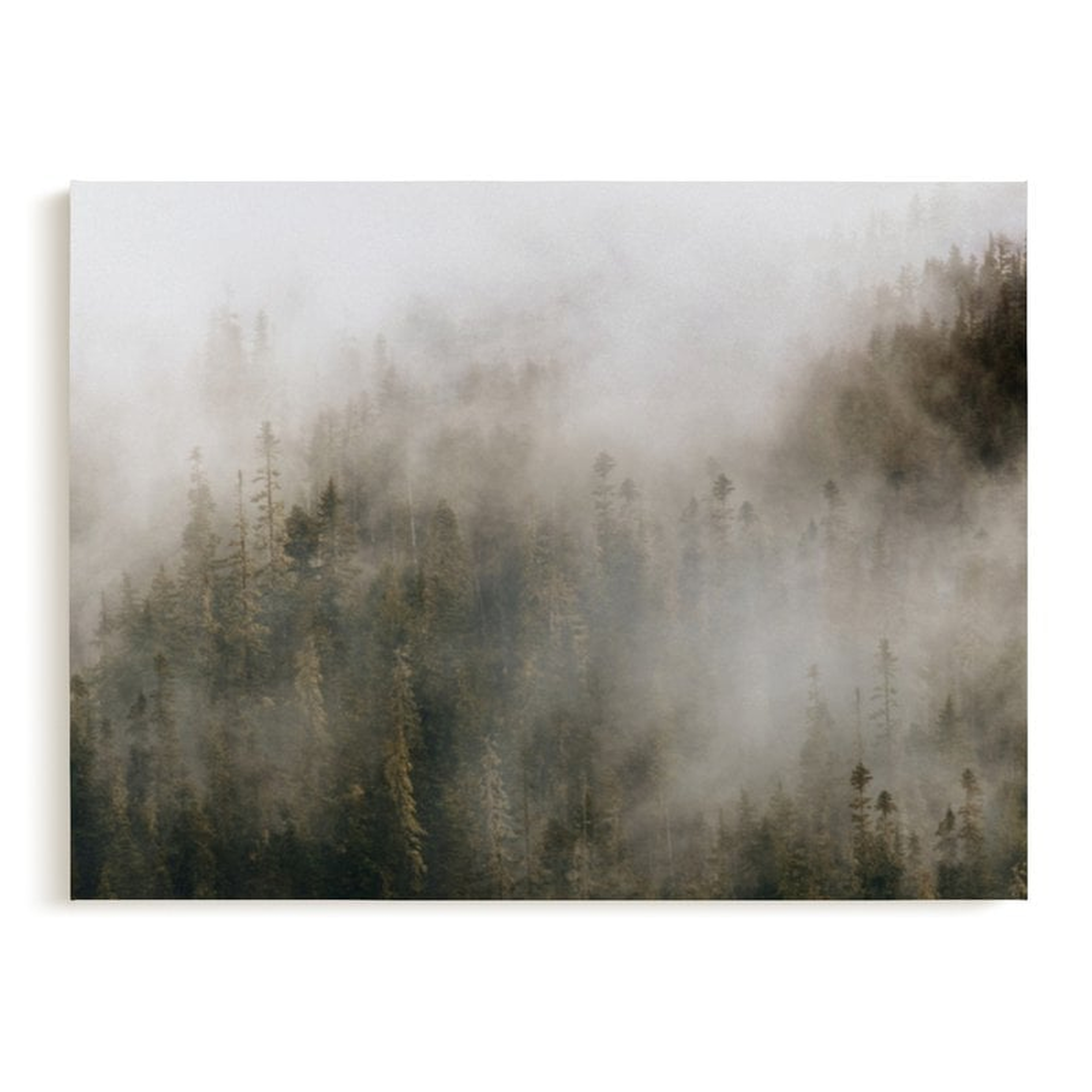 pacific north fog, 30" x 40" canvas - Minted