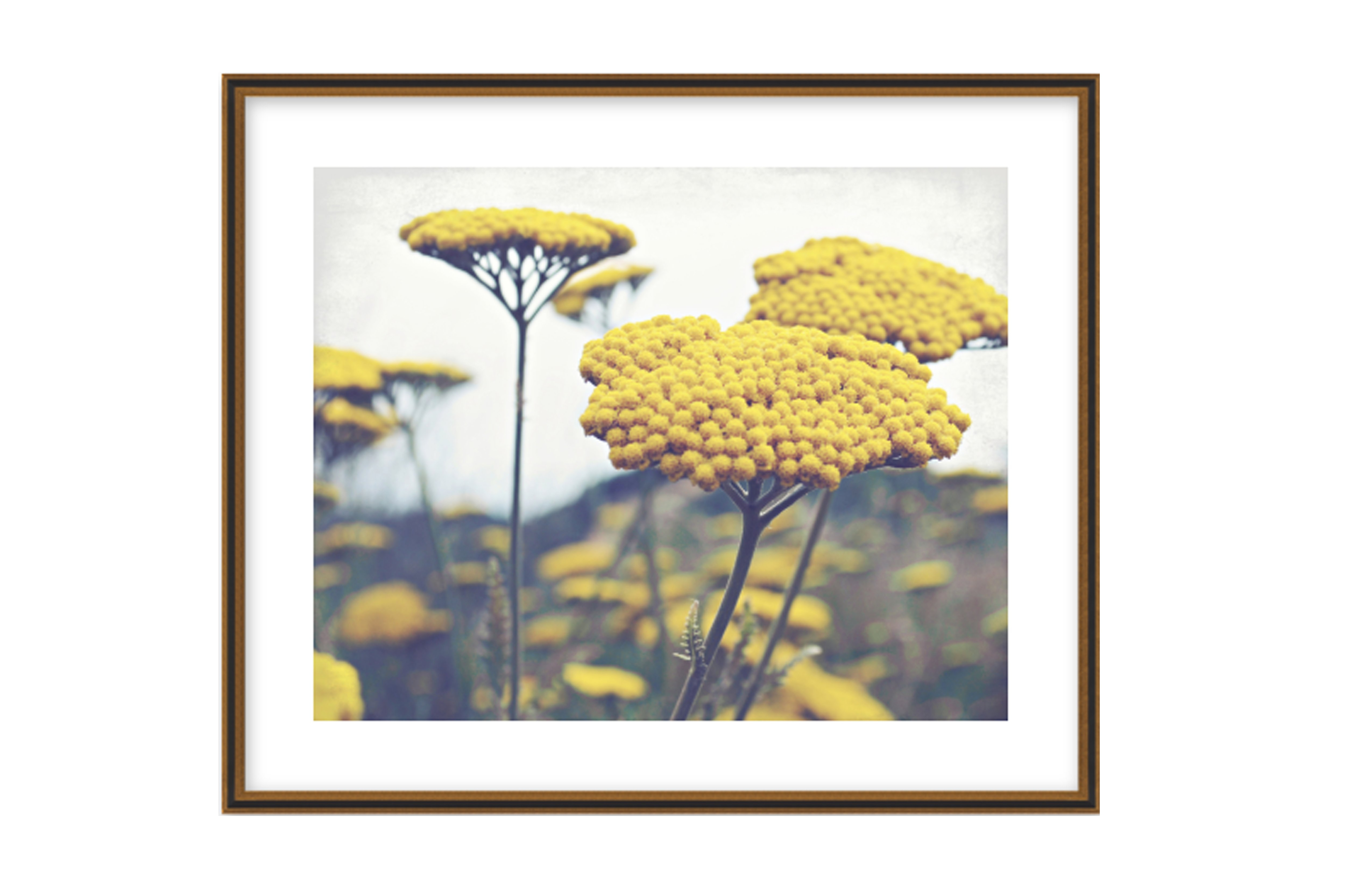 Maize Yellow  BY LUPEN GRAINNE  Black Gold Reverse Wood, frame - Artfully Walls