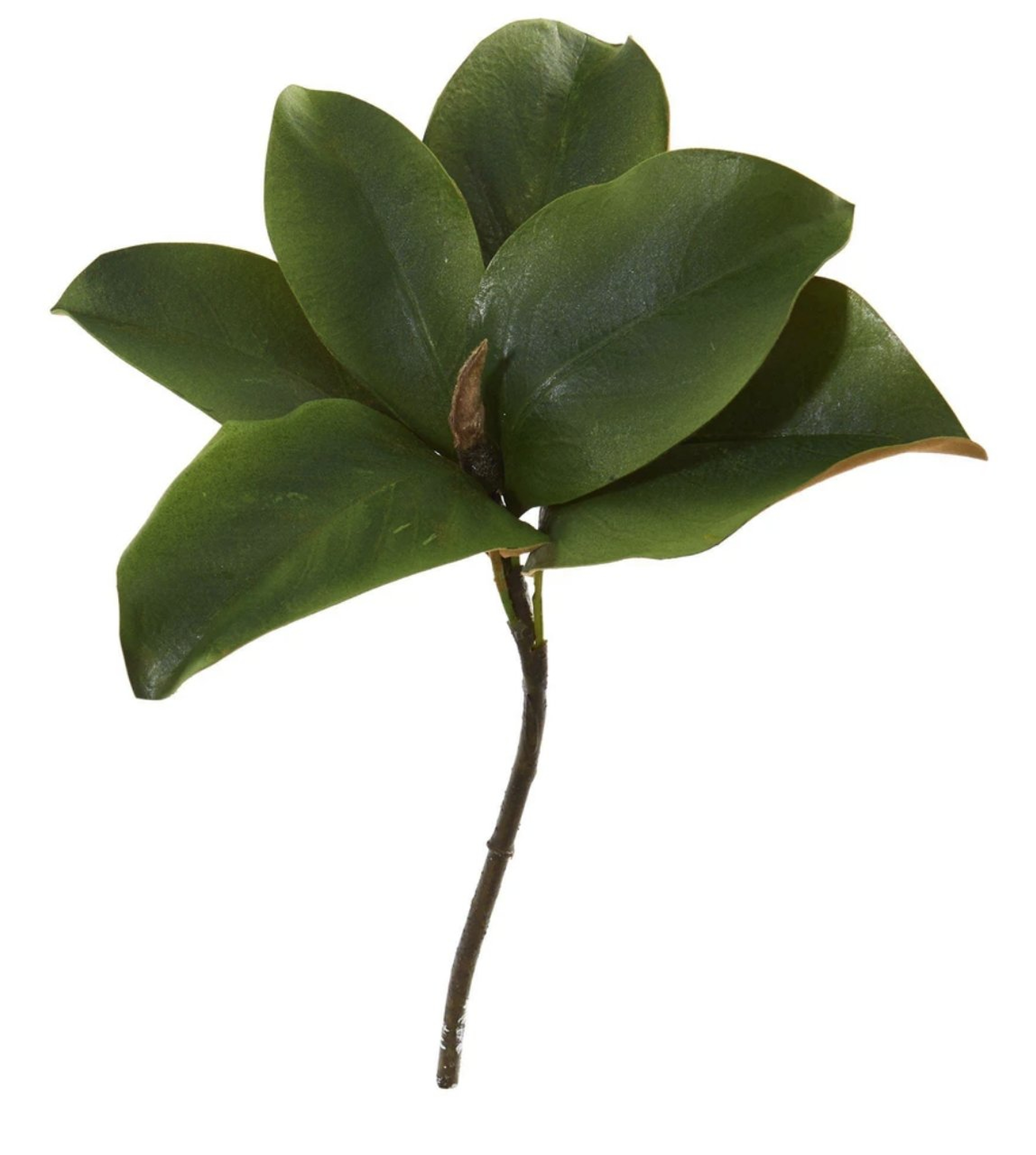 14” Magnolia Leaf Artificial Flower (Set of 12) - Fiddle + Bloom