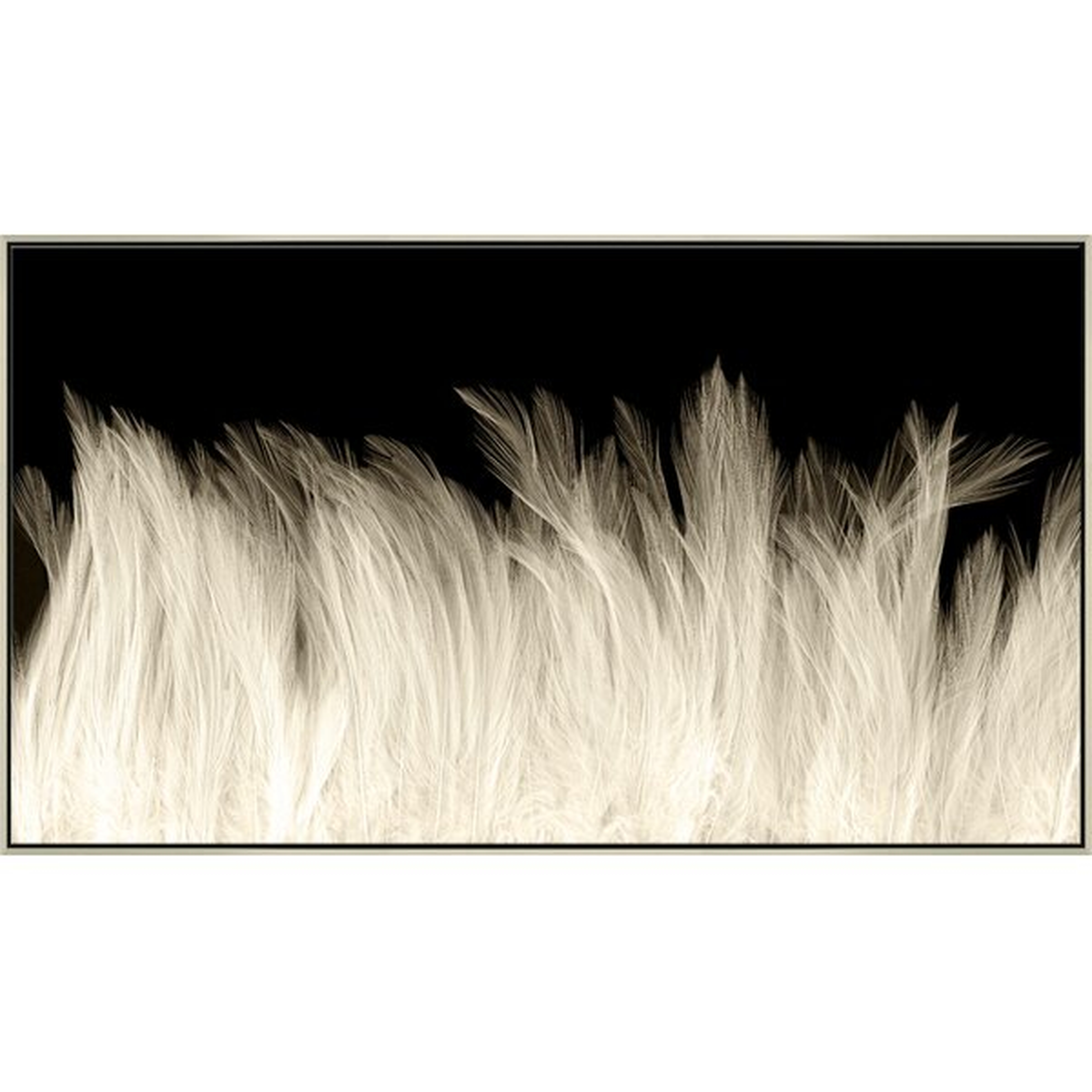 Soicher Marin Beach Feathers // 31.5"HX55.5"W - Perigold