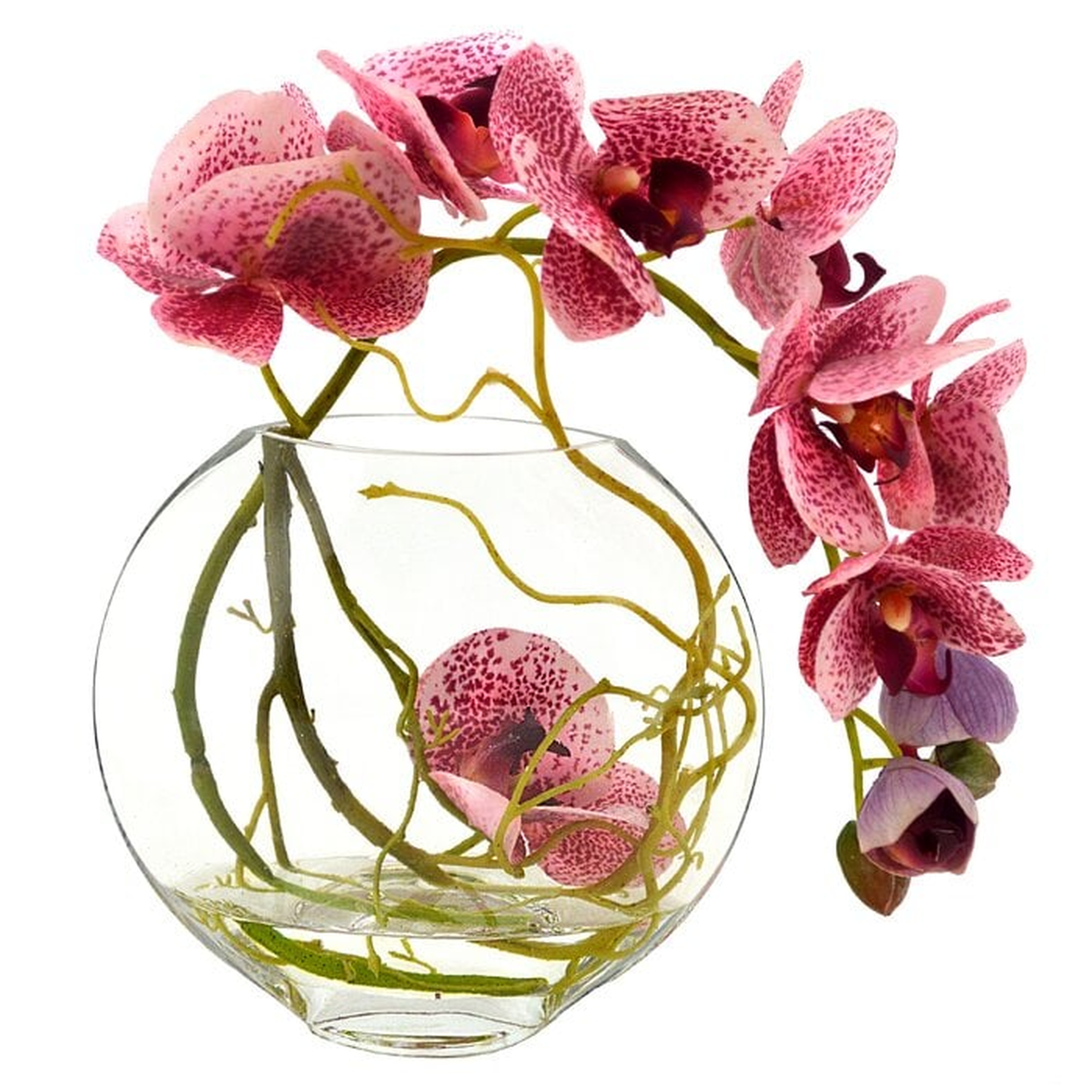 Fuchsia Orchid with Vine in Water - Wayfair