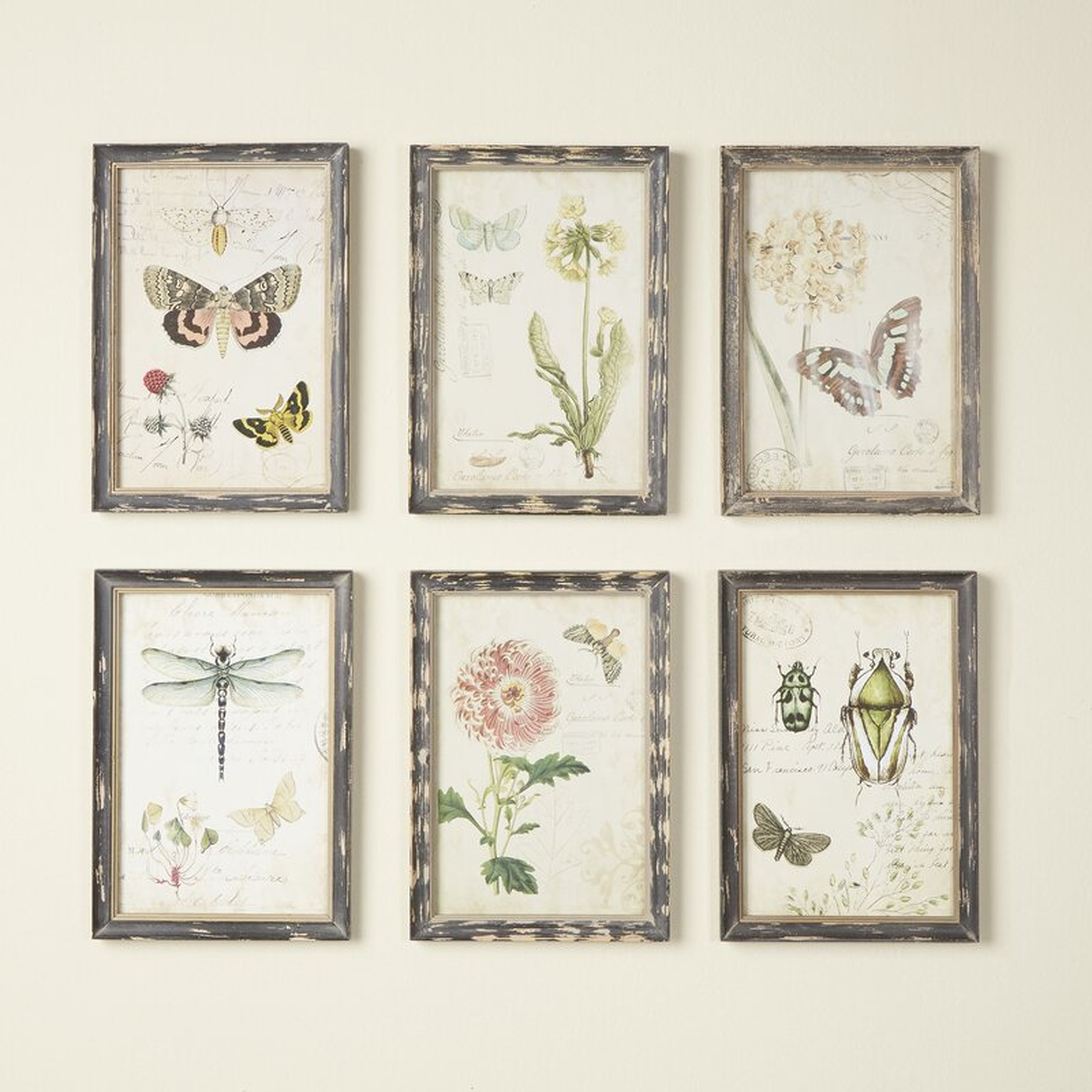 'Gardener' 6 Piece Framed Graphic Art Set - Birch Lane