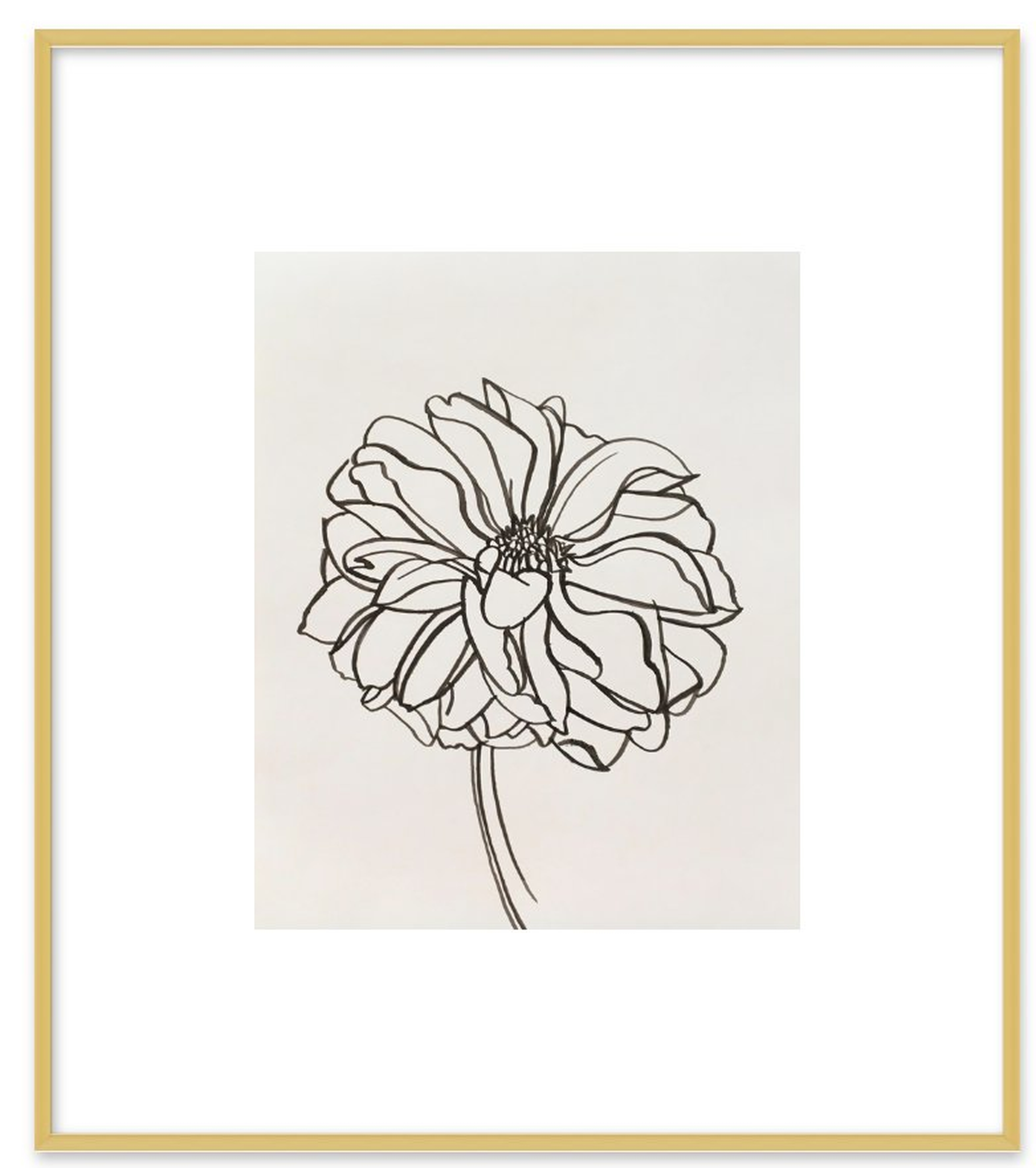 Dahlia - 14x16" - Frosted Gold Metal Frame with Matte - Artfully Walls
