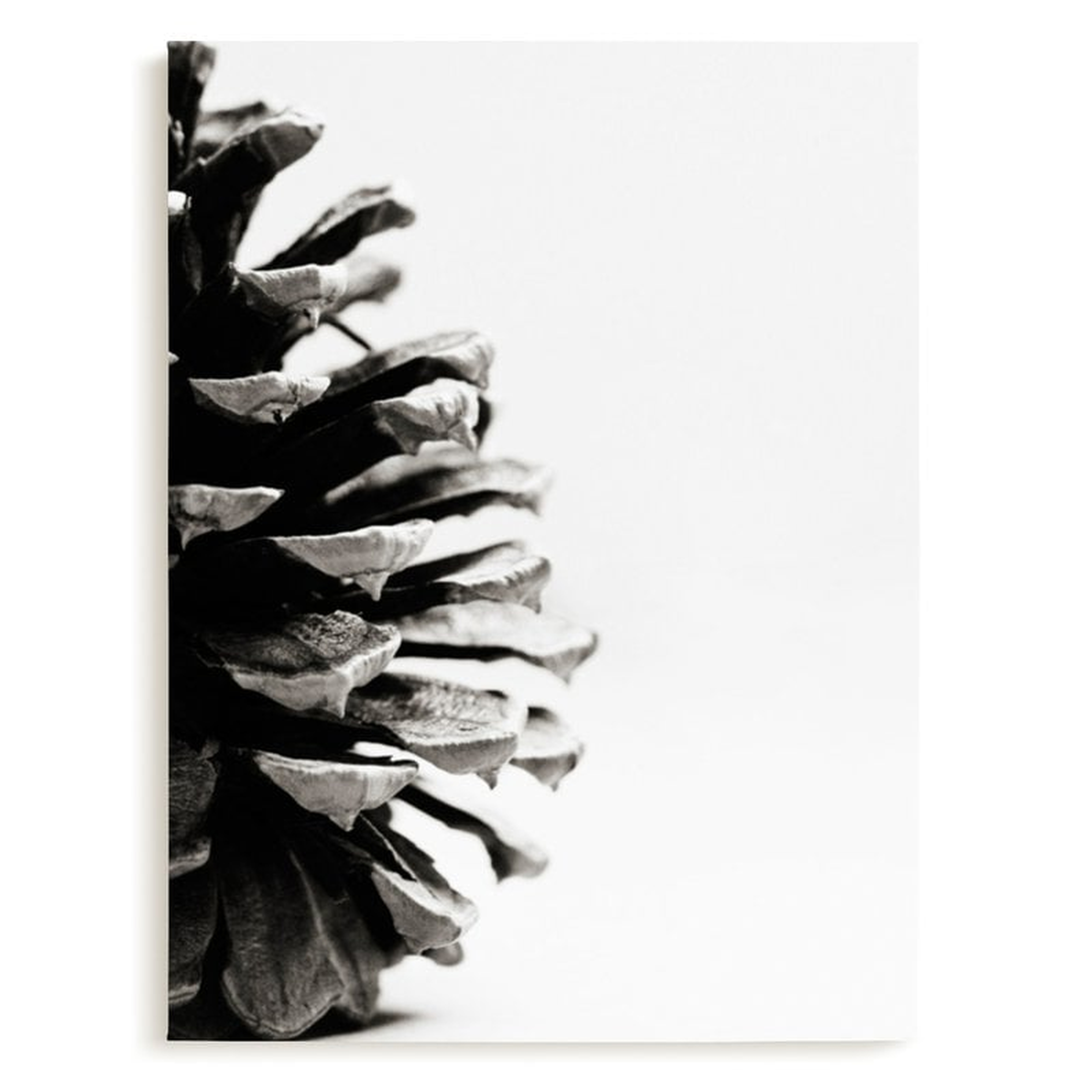 Pine Cone - Part 2 - Minted