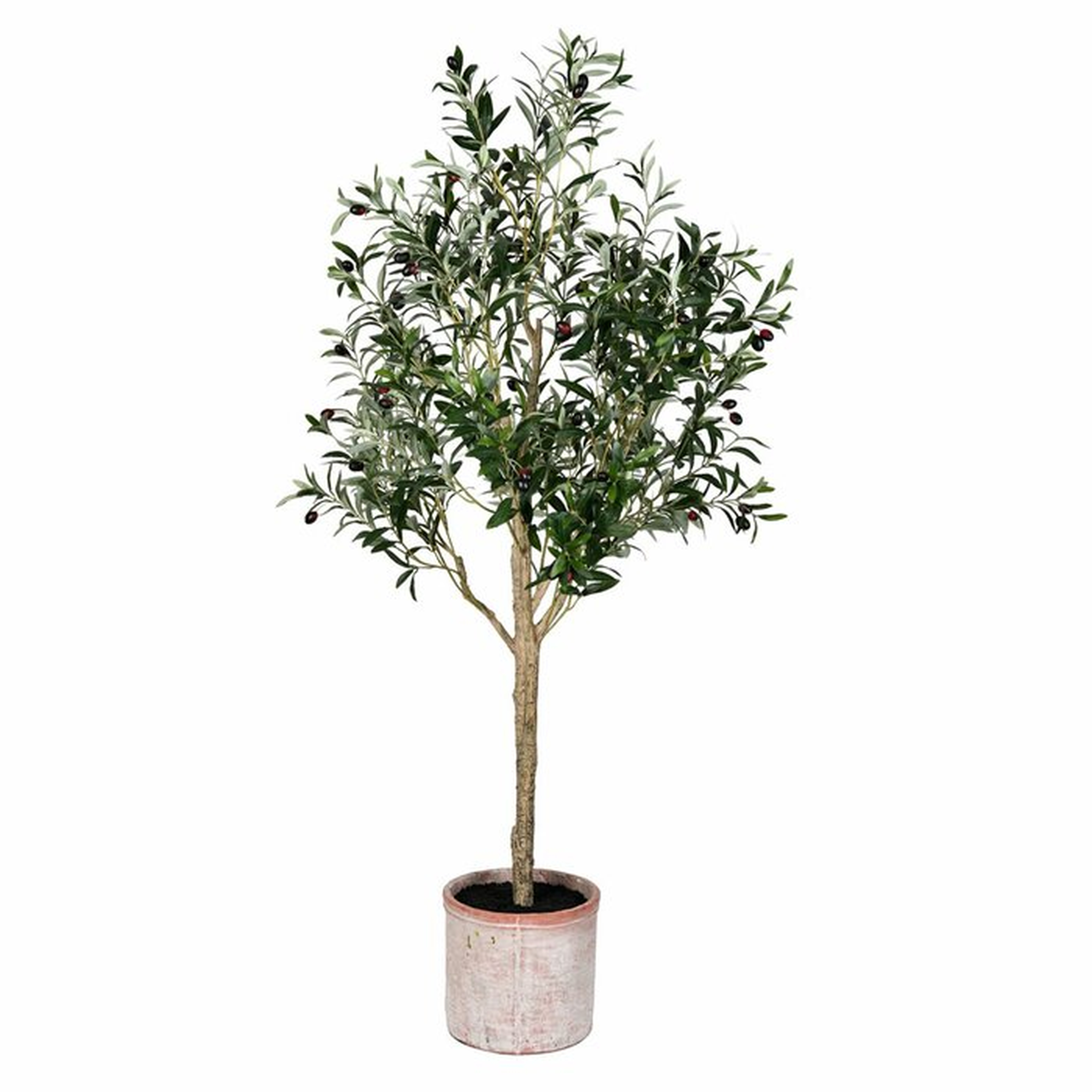 Artificial Olive Tree in Pot - Wayfair