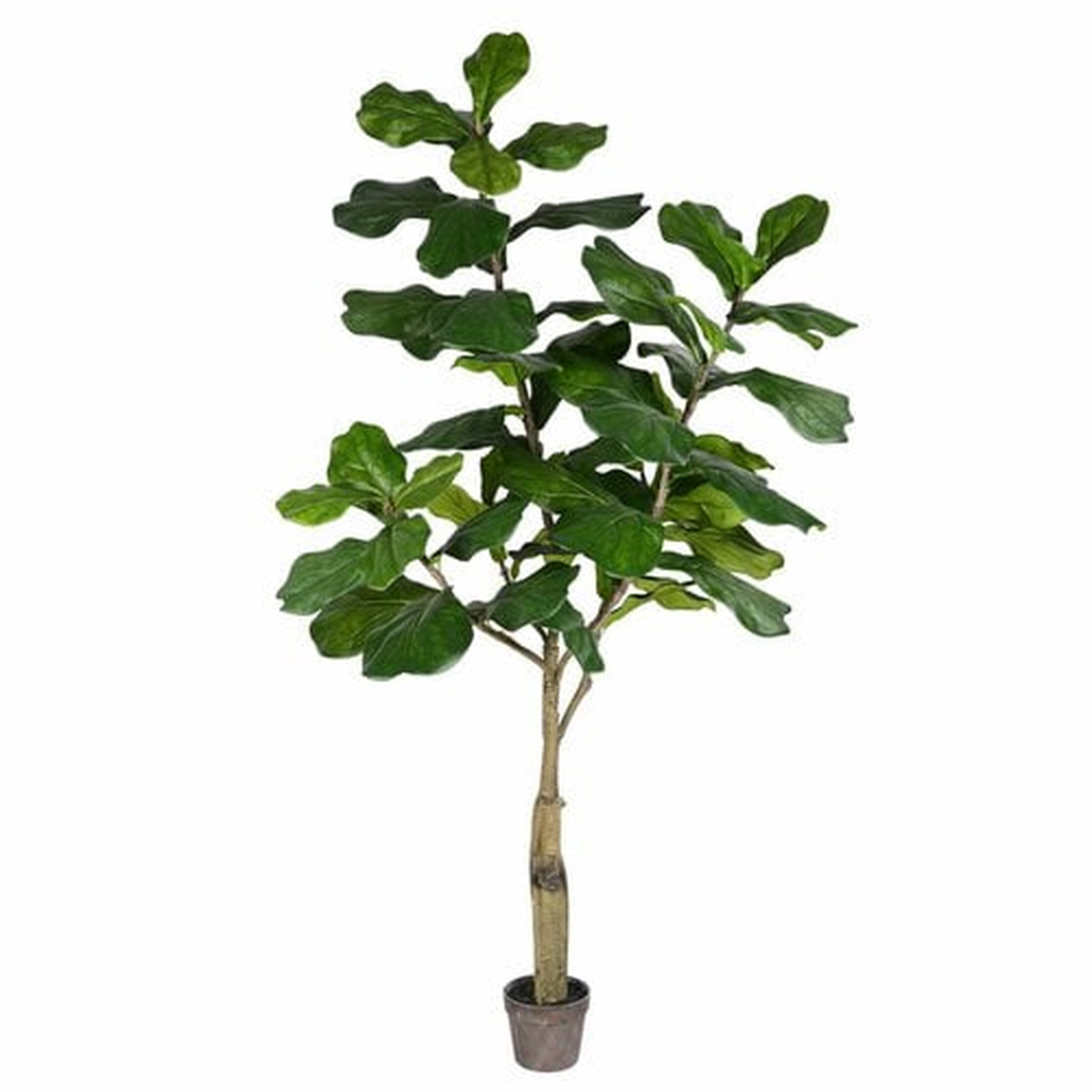 Artificial Potted Fiddle Tree in Pot - Wayfair