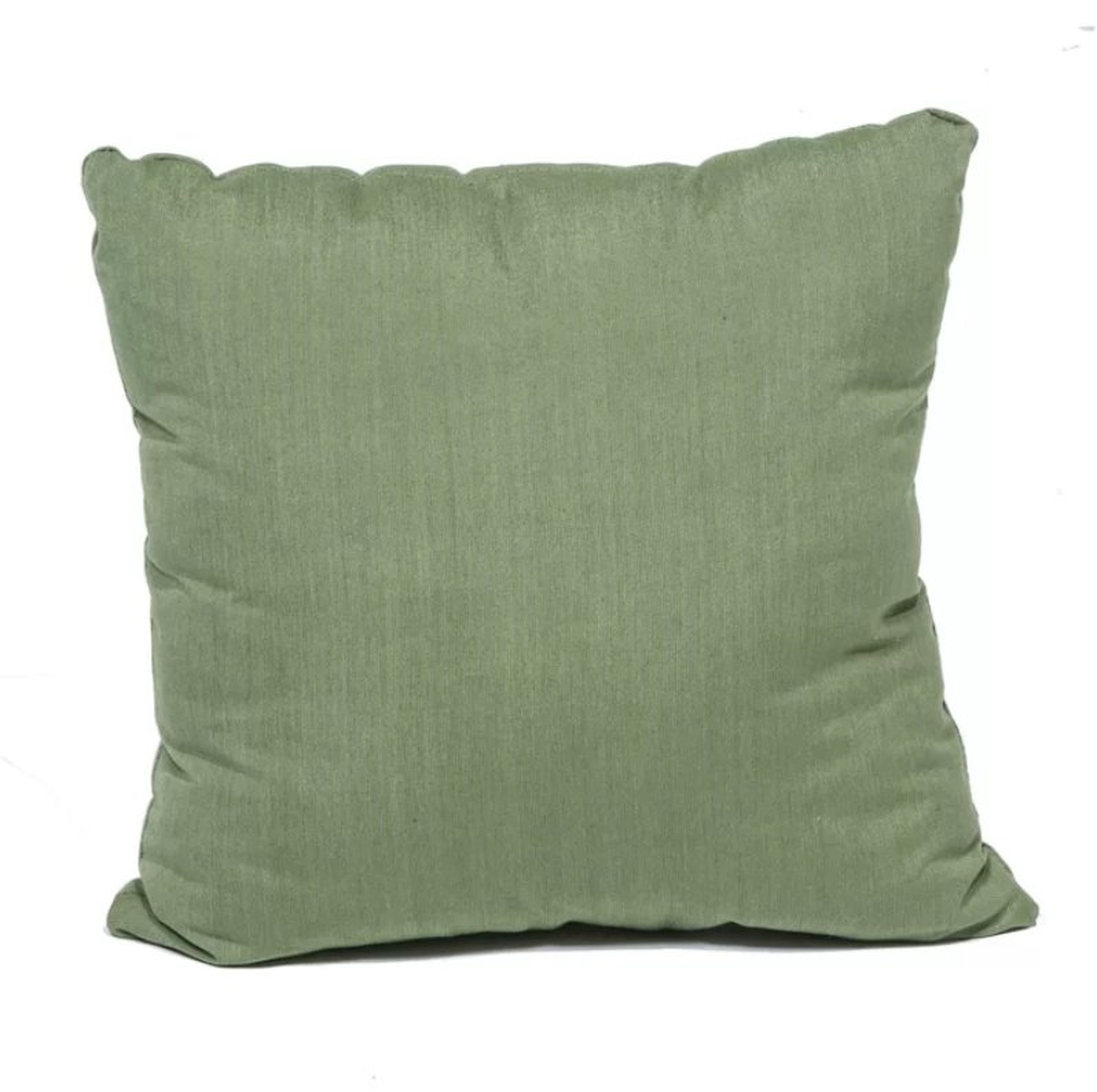 Outdoor Throw Pillow- Cilantro (set of 2) - Birch Lane