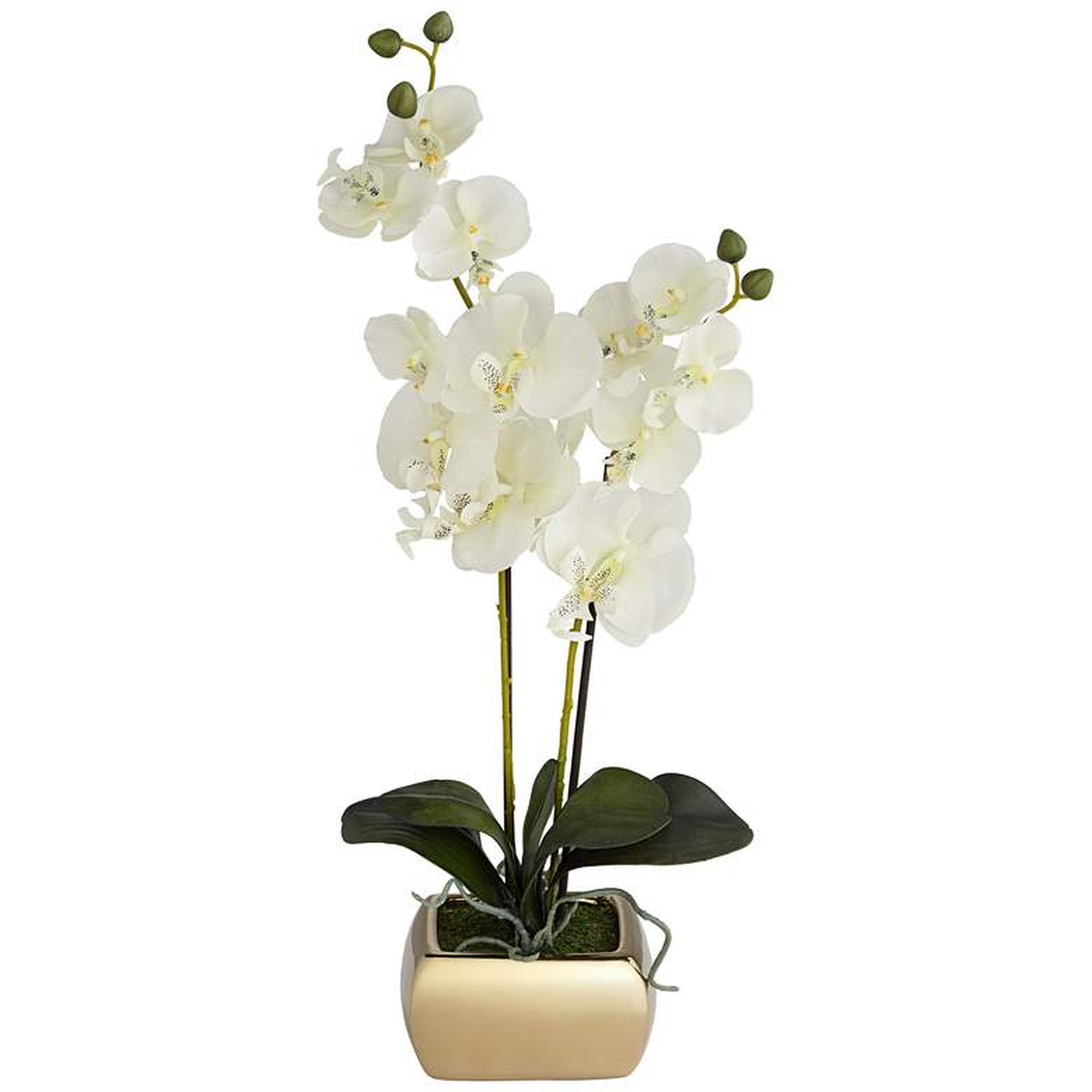 White Orchid 22" High Faux Flowers in Gold Ceramic Pot - Lamps Plus