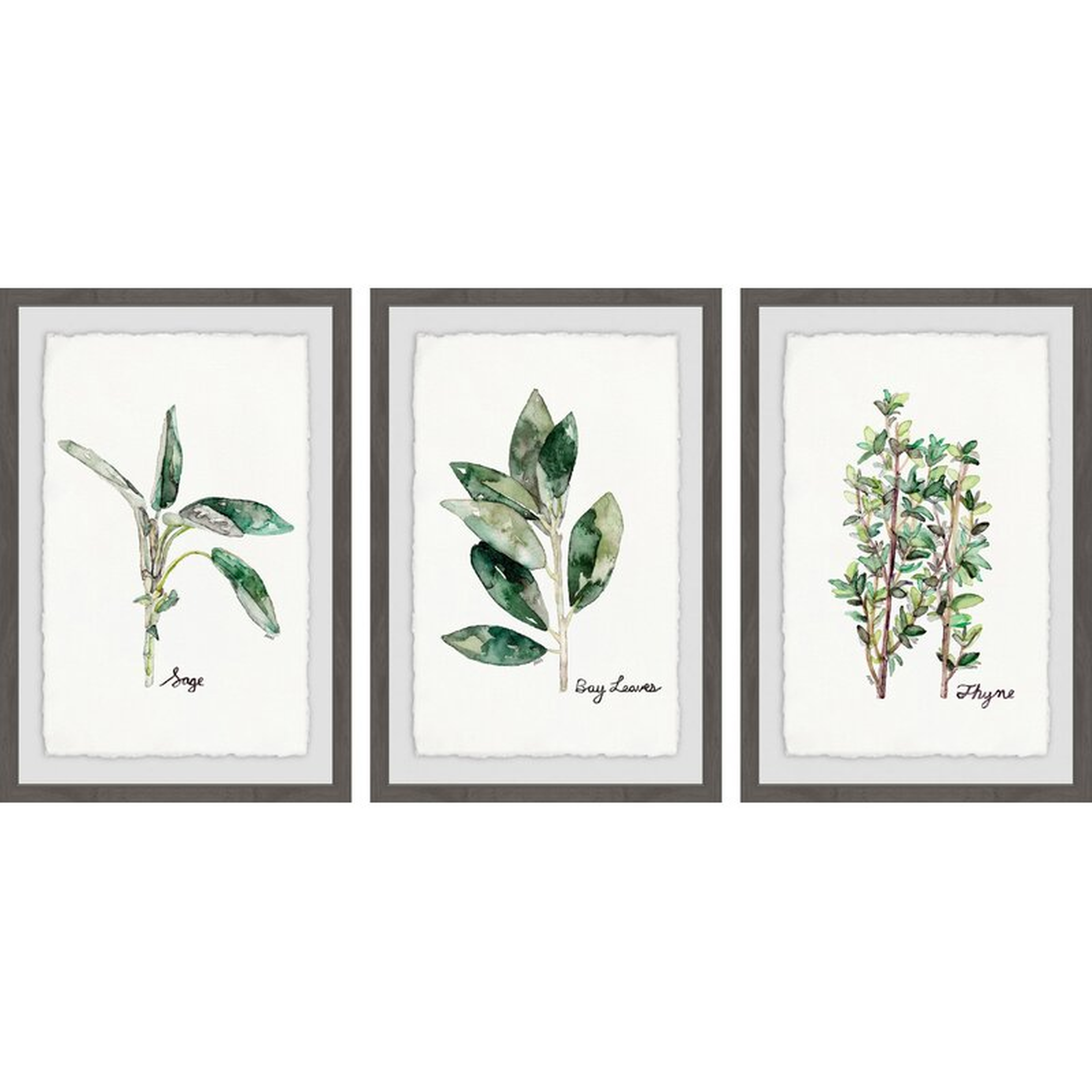 'Herb Trio Triptych' 3 Piece Framed Watercolor Painting Print Set - Wayfair