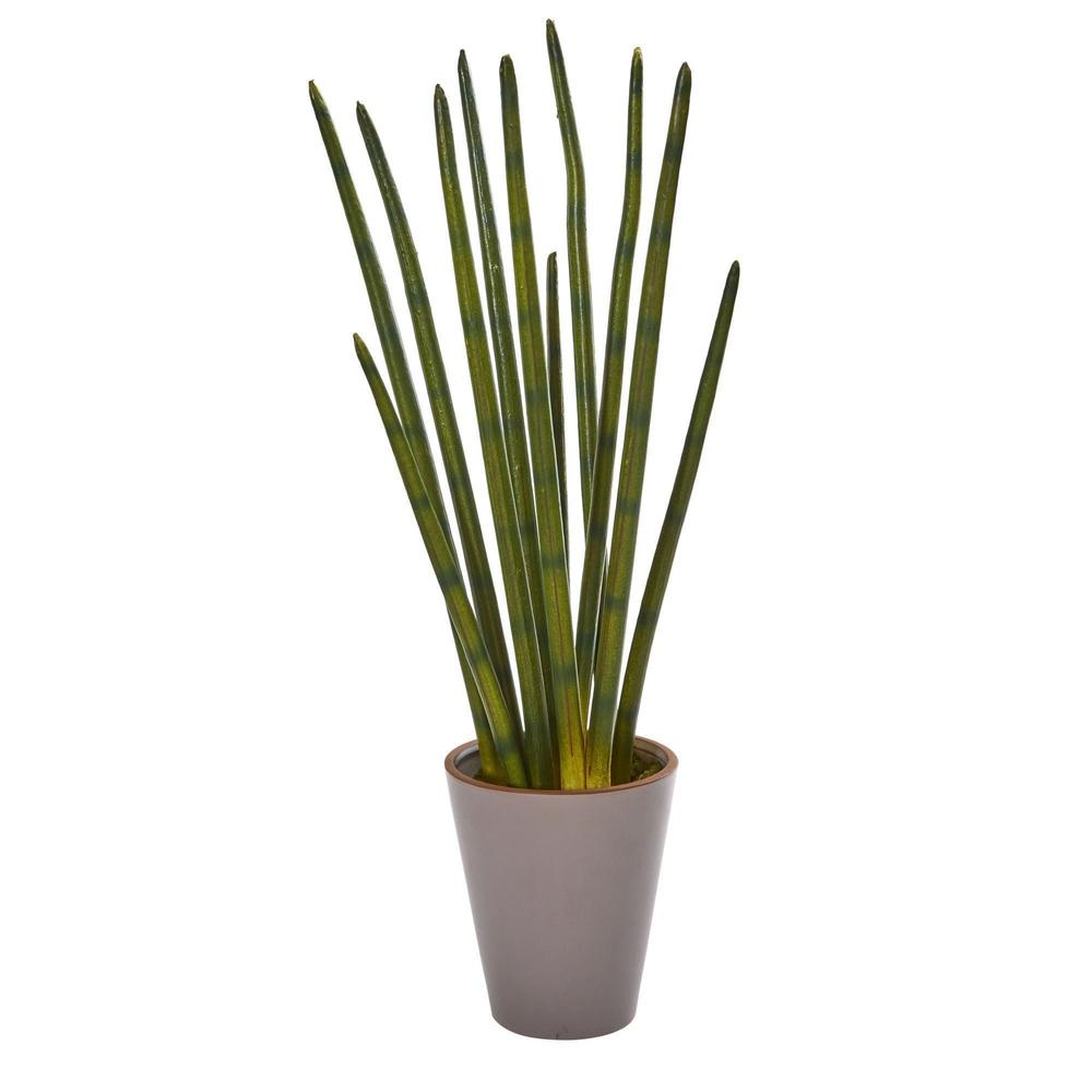 24” Bamboo Shoot Artificial Plant in Decorative Planter - Fiddle + Bloom