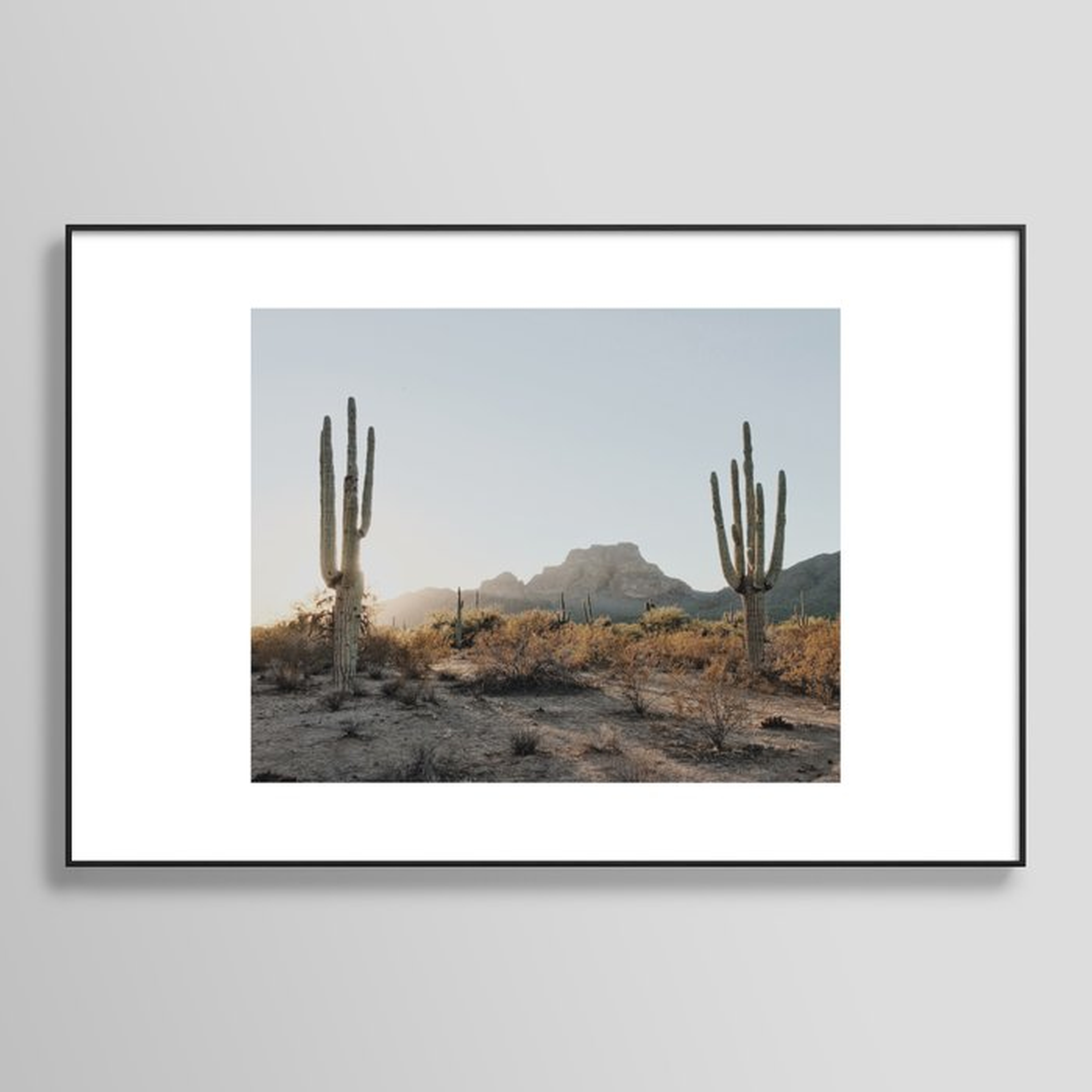 Two Saguaros Framed Art Print // Large: 24"x36" // Black metal  frame - Society6