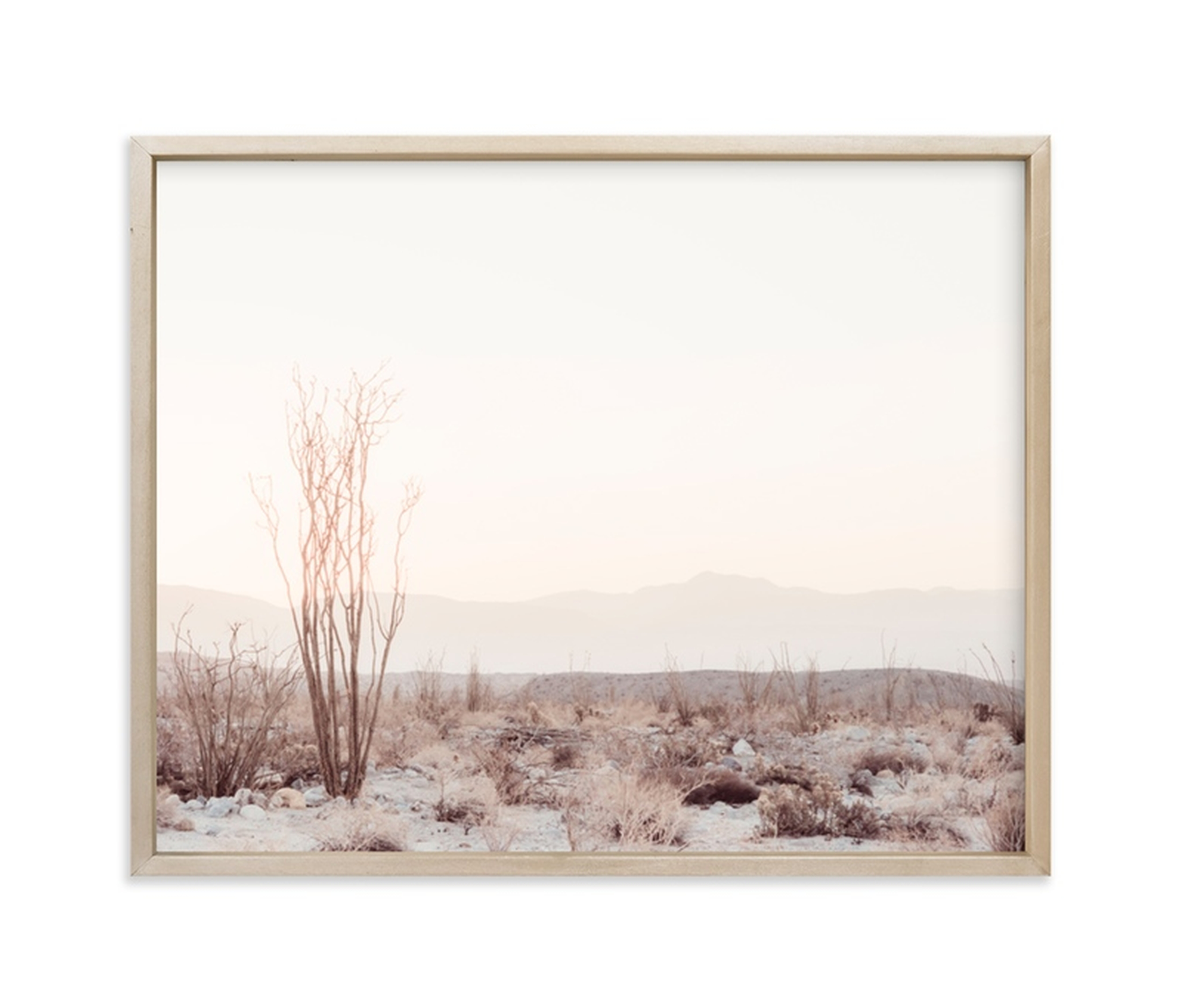 Ocotillo II w/ Natural Raw Wood Frame - Minted