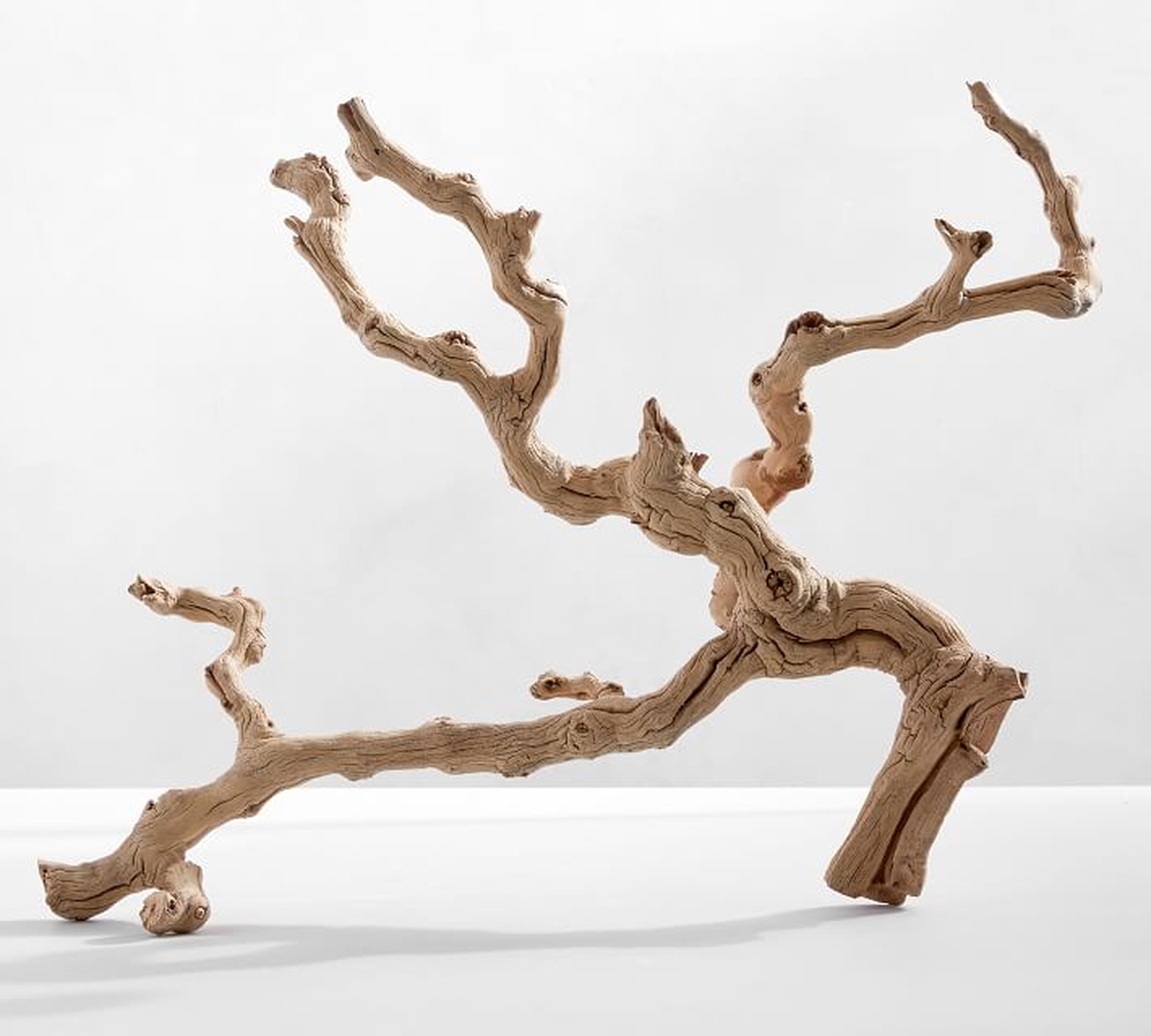 Dried Grapewood Branch - Pottery Barn