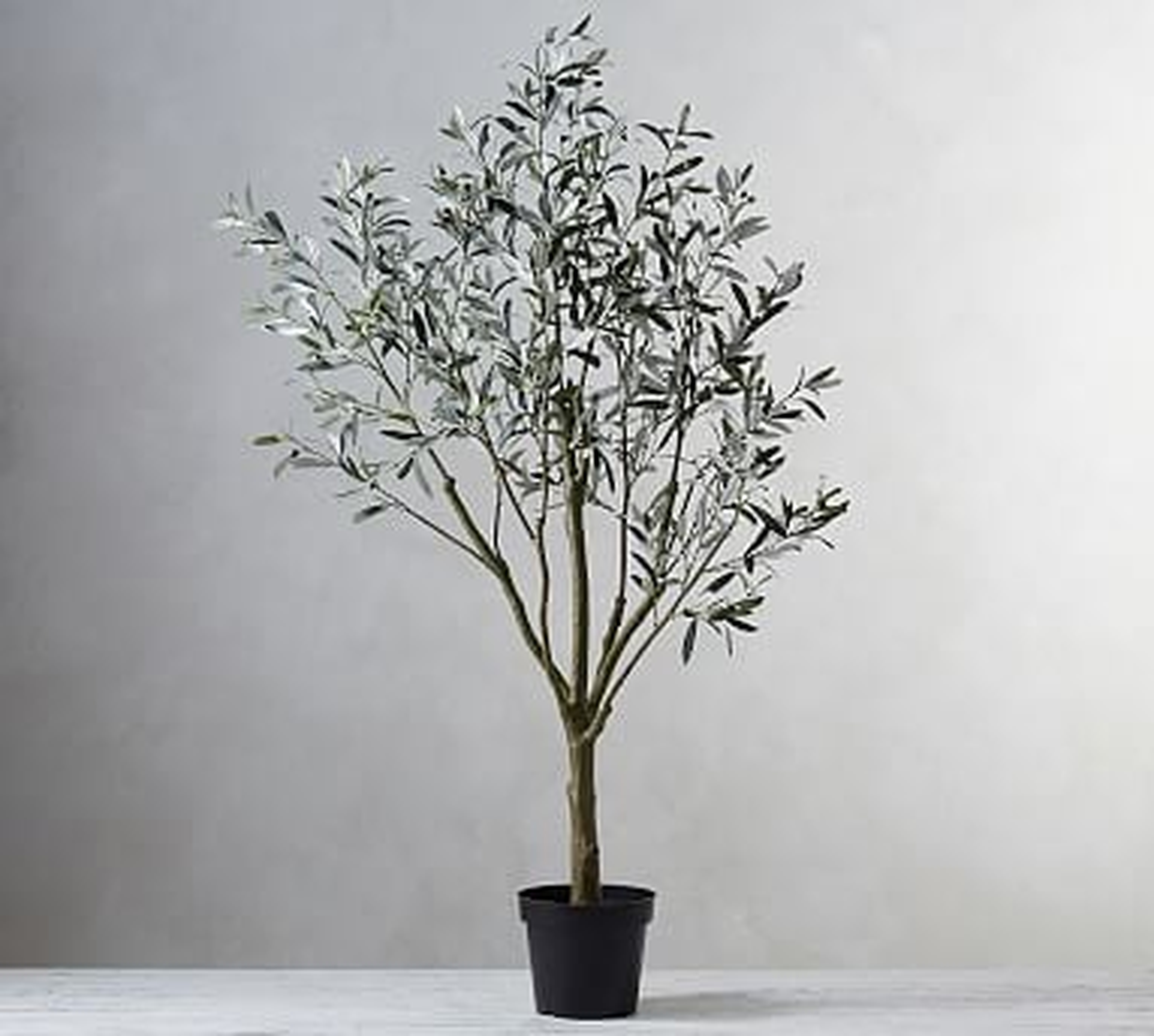 Faux Potted Olive Tree - Pottery Barn