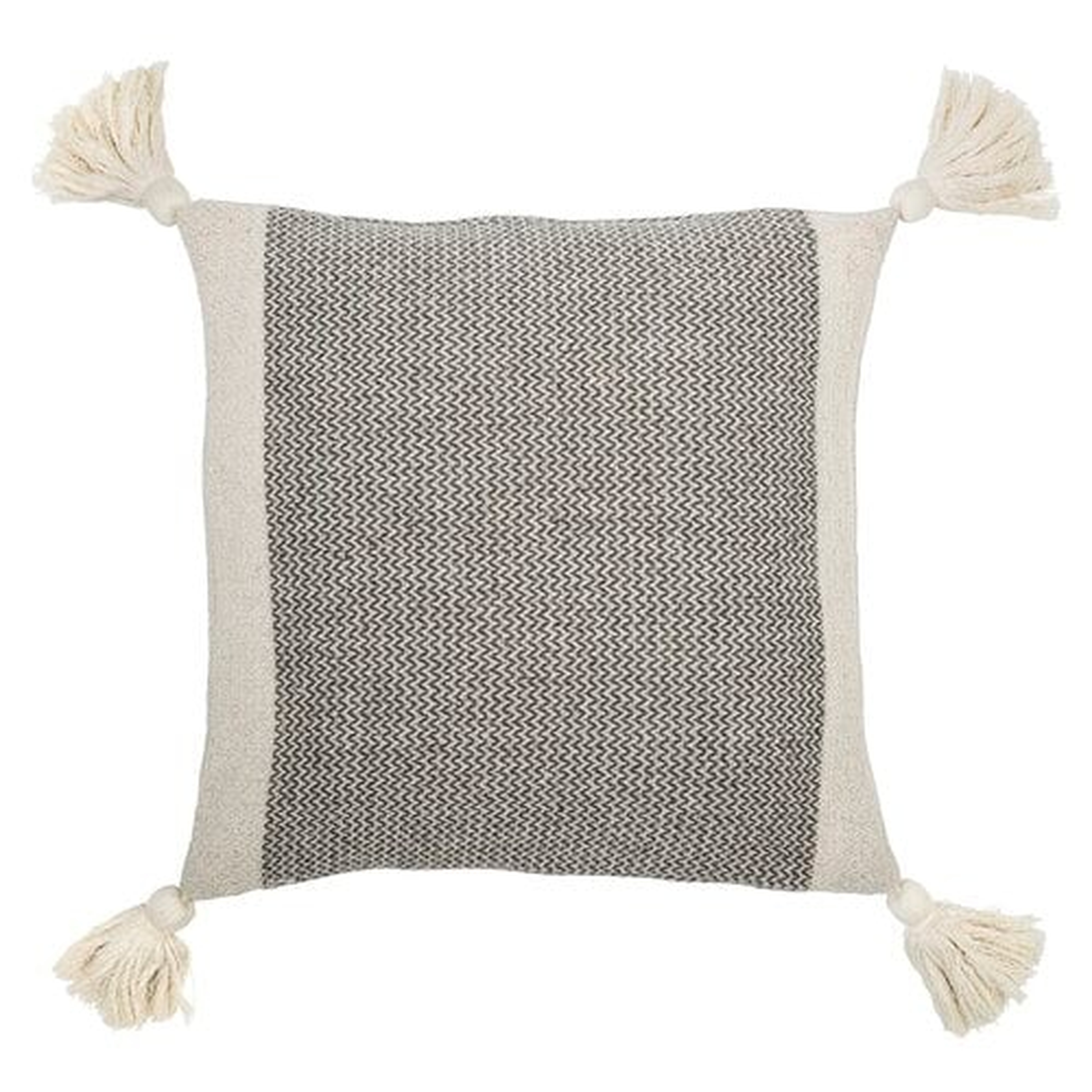 Said Square Pillow Cover and Insert - AllModern