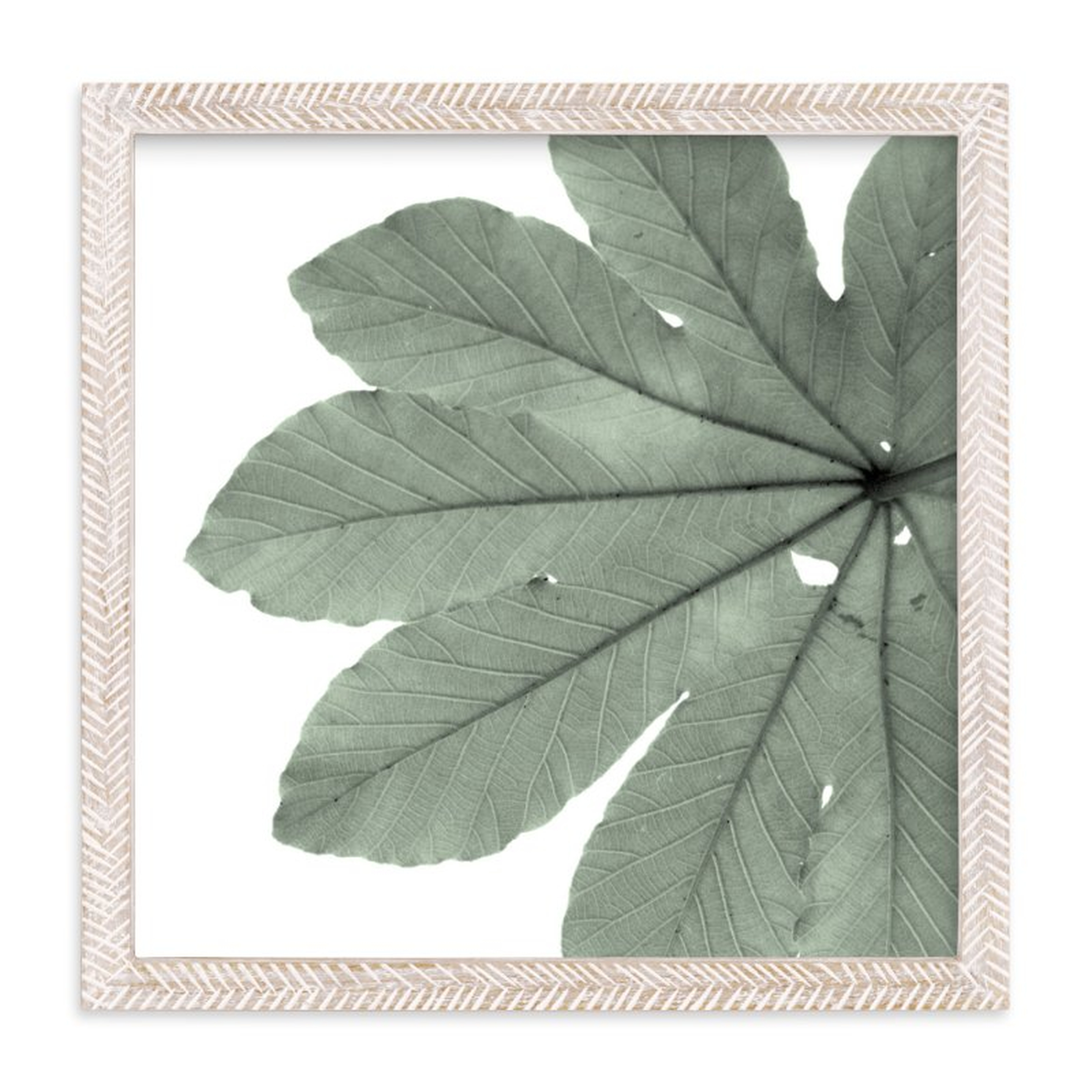 Leaf in Green, 11"x11", Whitewashed Herringbone Frame - Minted