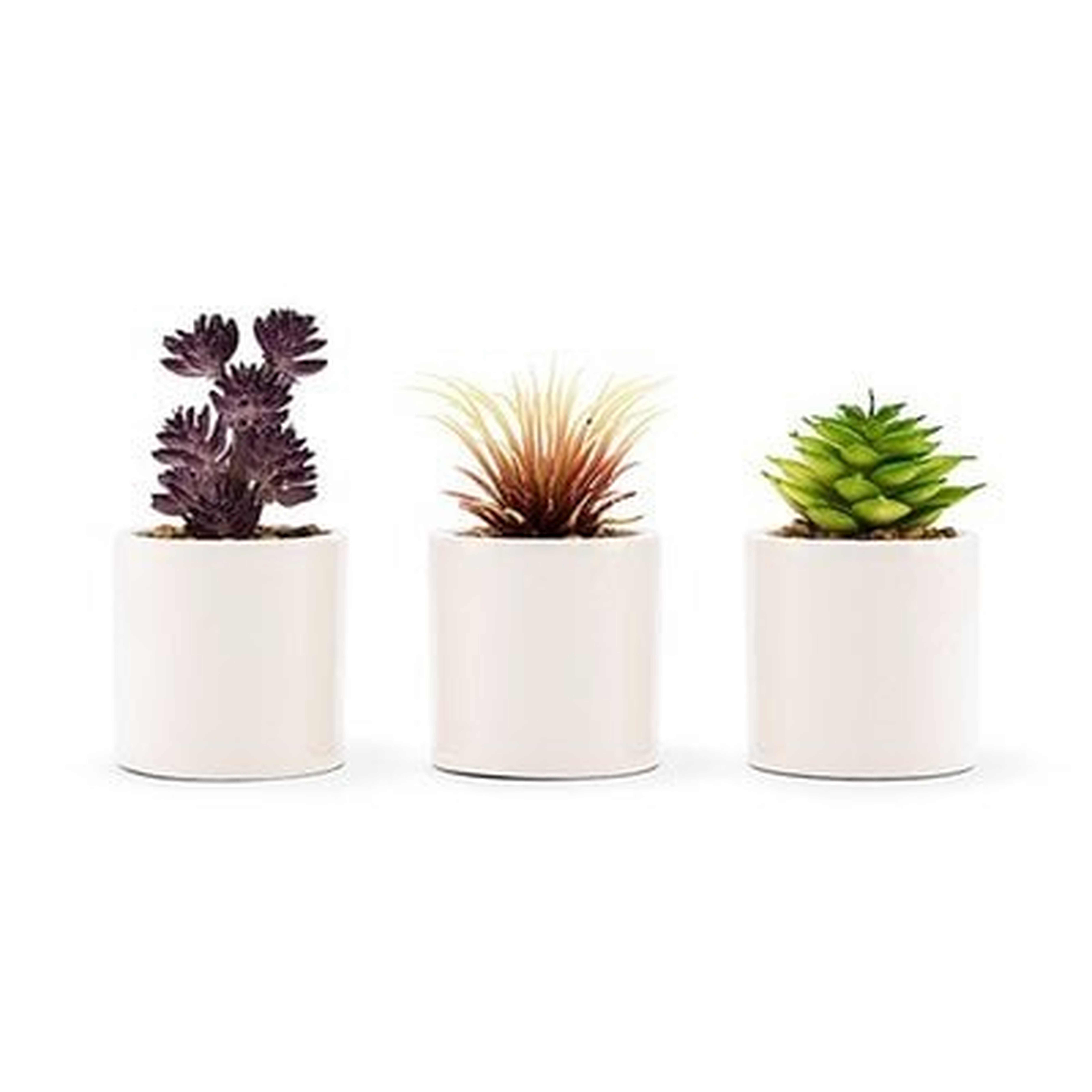 Small Faux Desktop Succulent Plant in Pot (set of 6) - Wayfair