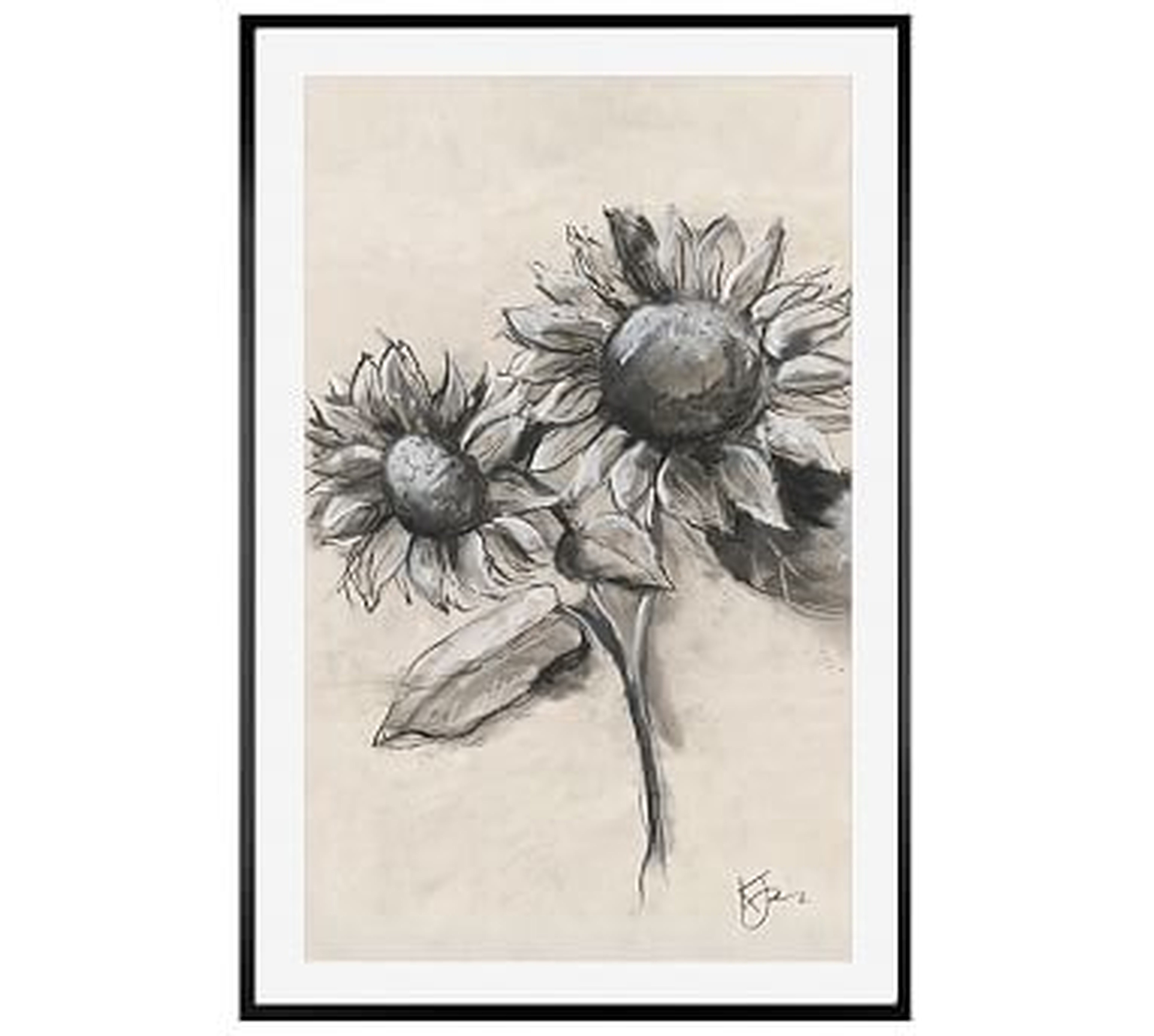 Charcoal Sunflower Sketch, Sunflower With Stem, 28" X 42" Wood Gallery, White, No Mat - Pottery Barn